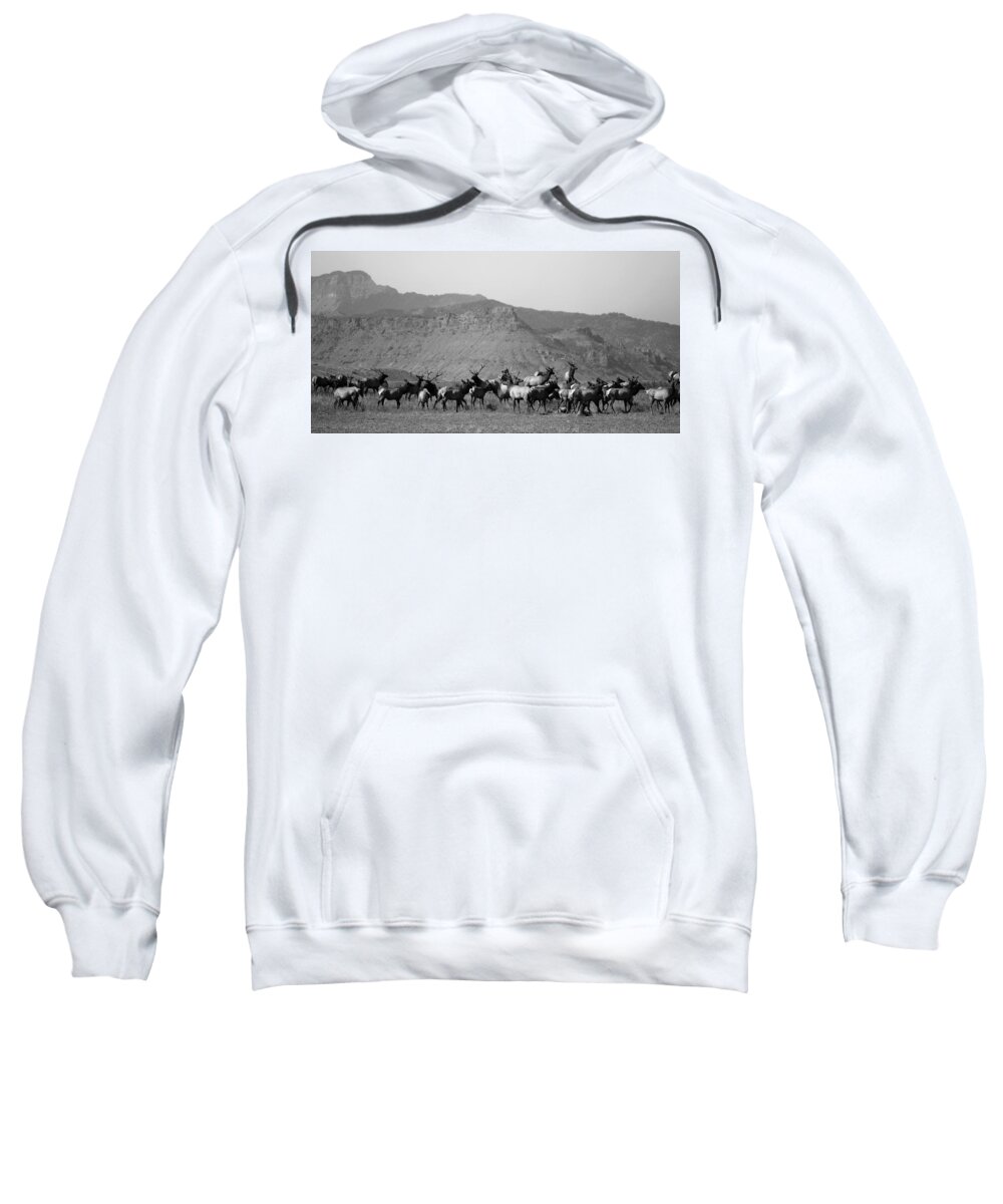 Western Art Sweatshirt featuring the photograph Wapiti Valley by Alden White Ballard
