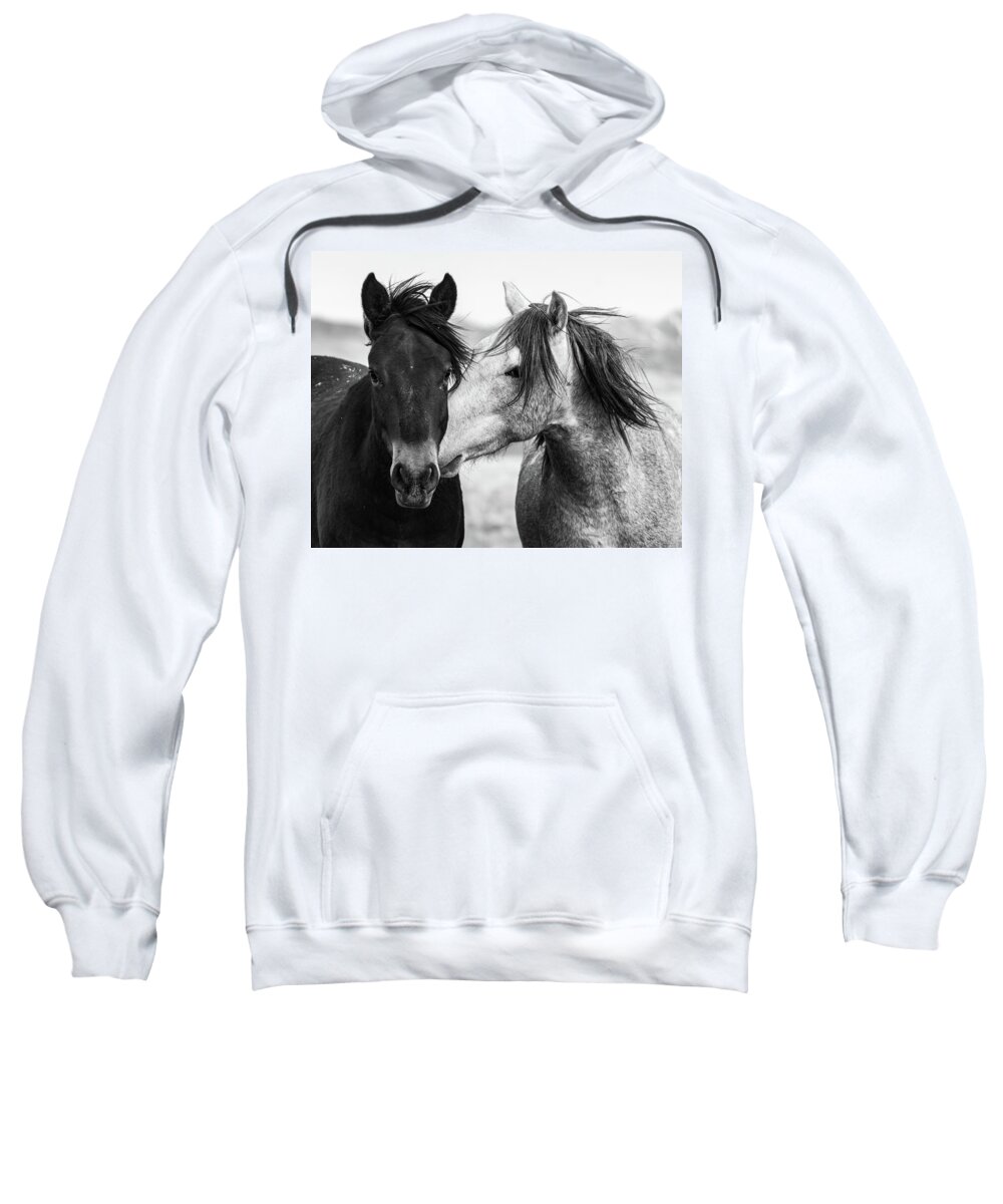 Wild Horses Sweatshirt featuring the photograph We Too by Mary Hone