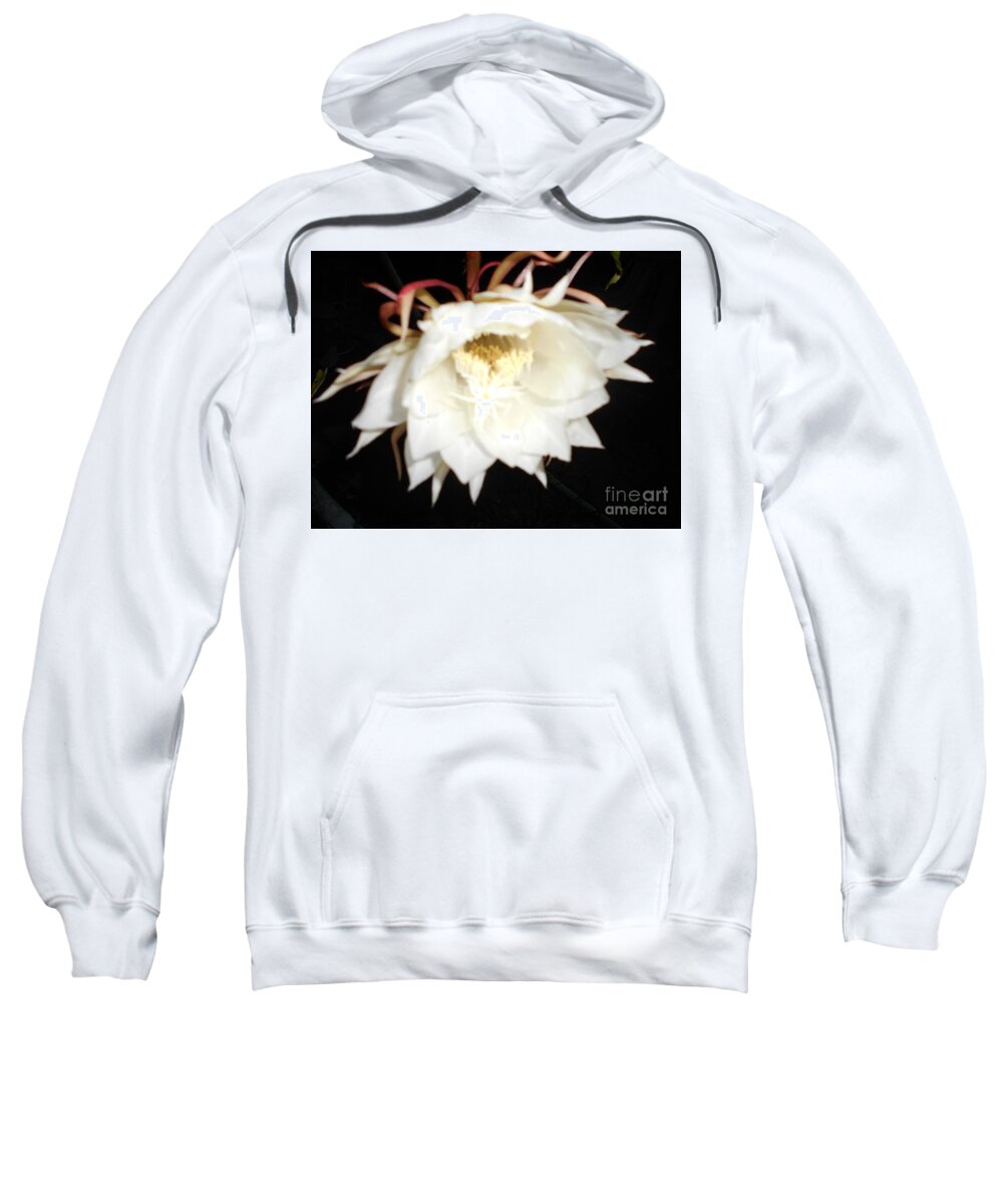 White Sweatshirt featuring the photograph White wild flower by Nancy Graham