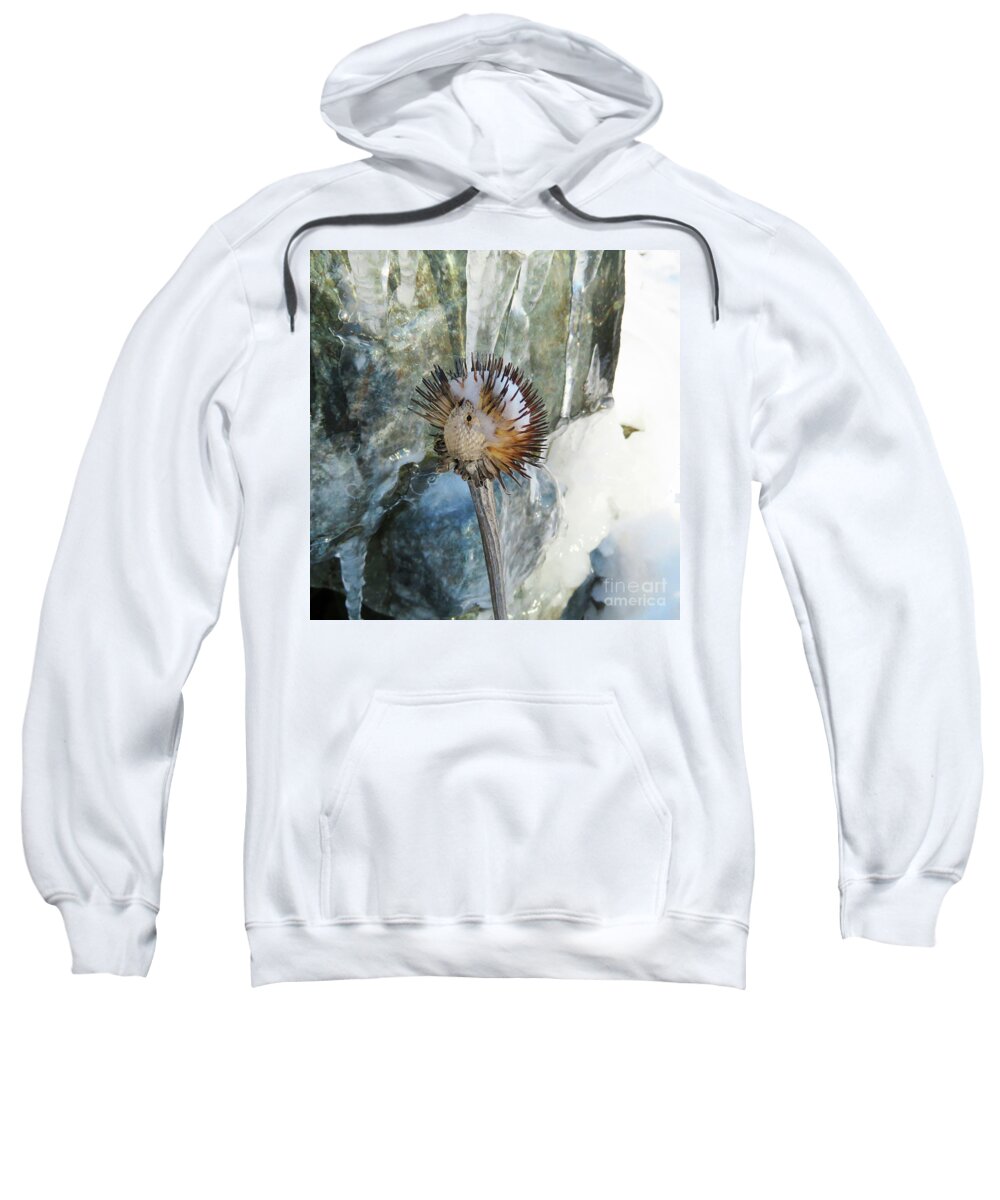 Winter Sweatshirt featuring the photograph Winter Botanical 18 by Amy E Fraser