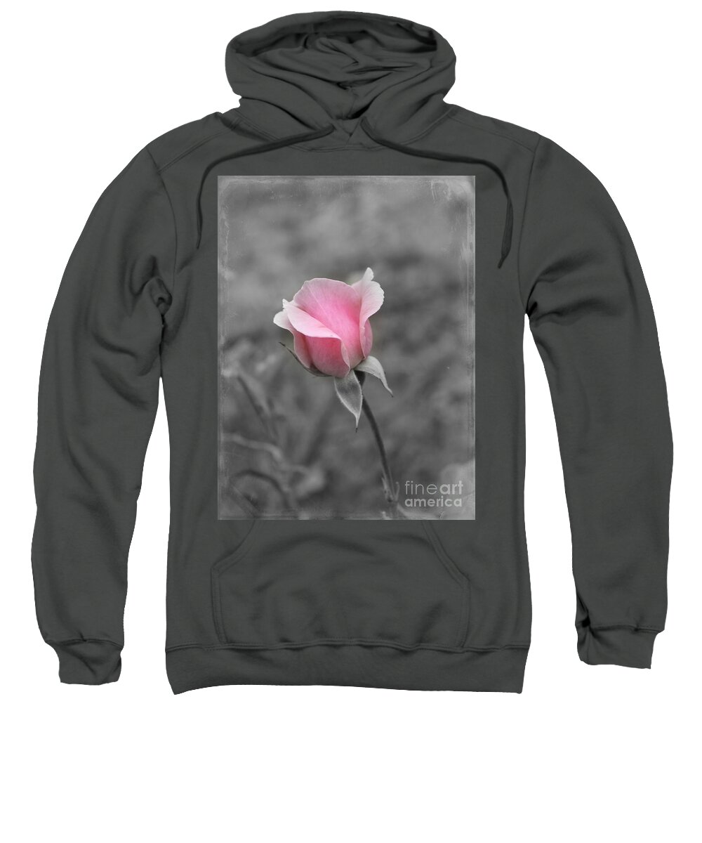 Pink Rose Sweatshirt featuring the photograph A Hint of Pink #1 by Clare Bevan