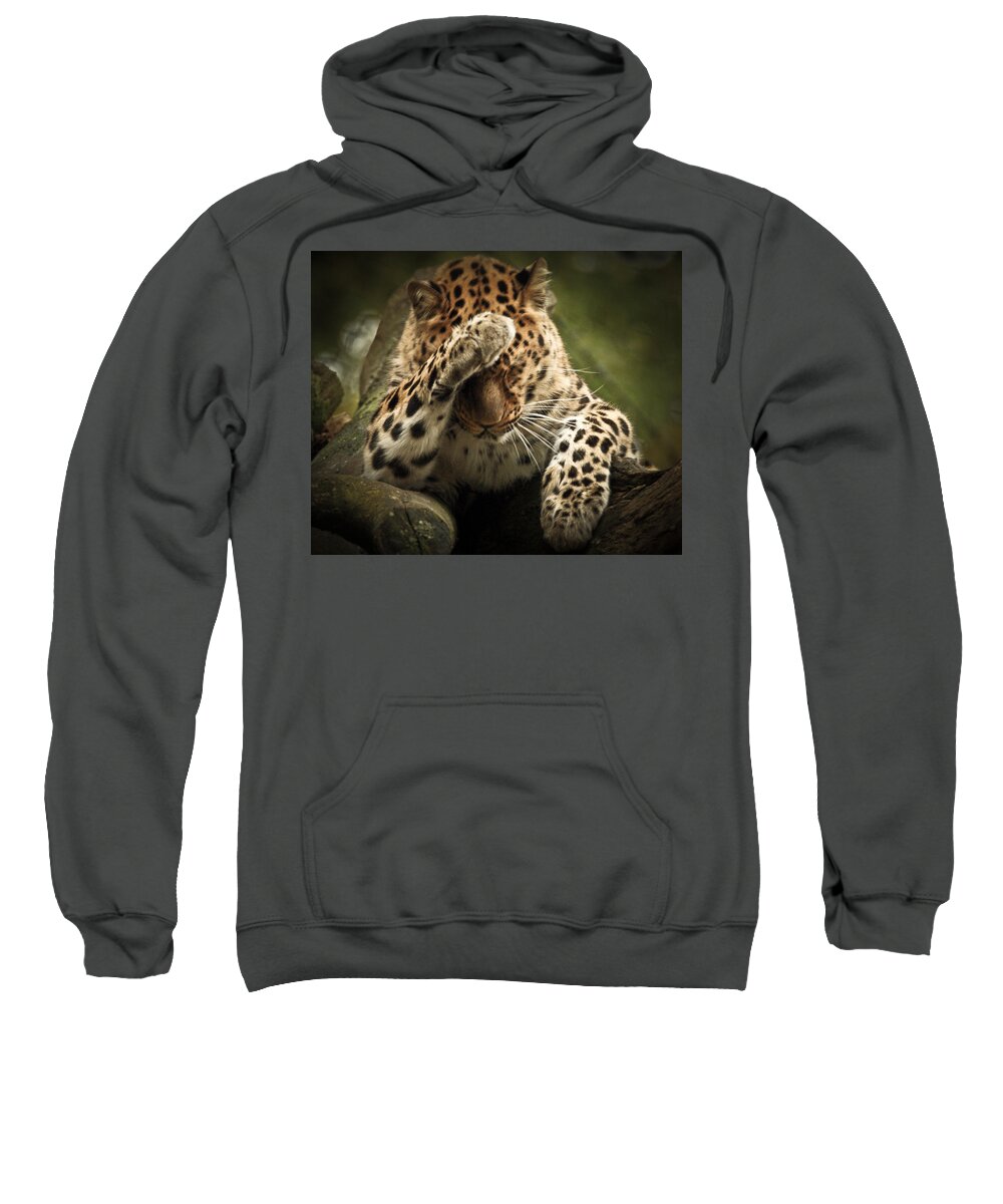 Animal Sweatshirt featuring the photograph Amur Leopard #1 by Chris Boulton