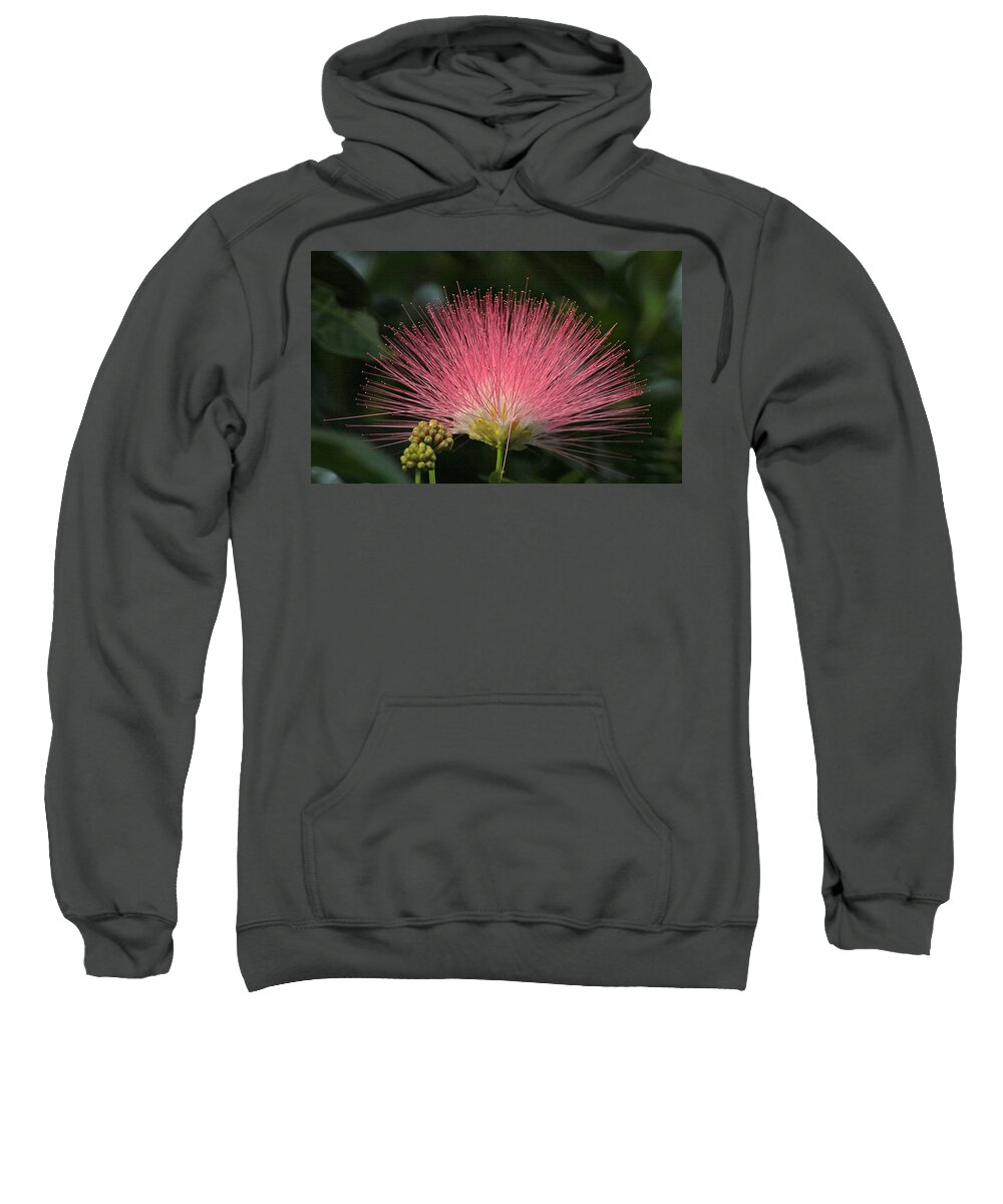 In Focus Sweatshirt featuring the photograph Flower #1 by Dart Humeston