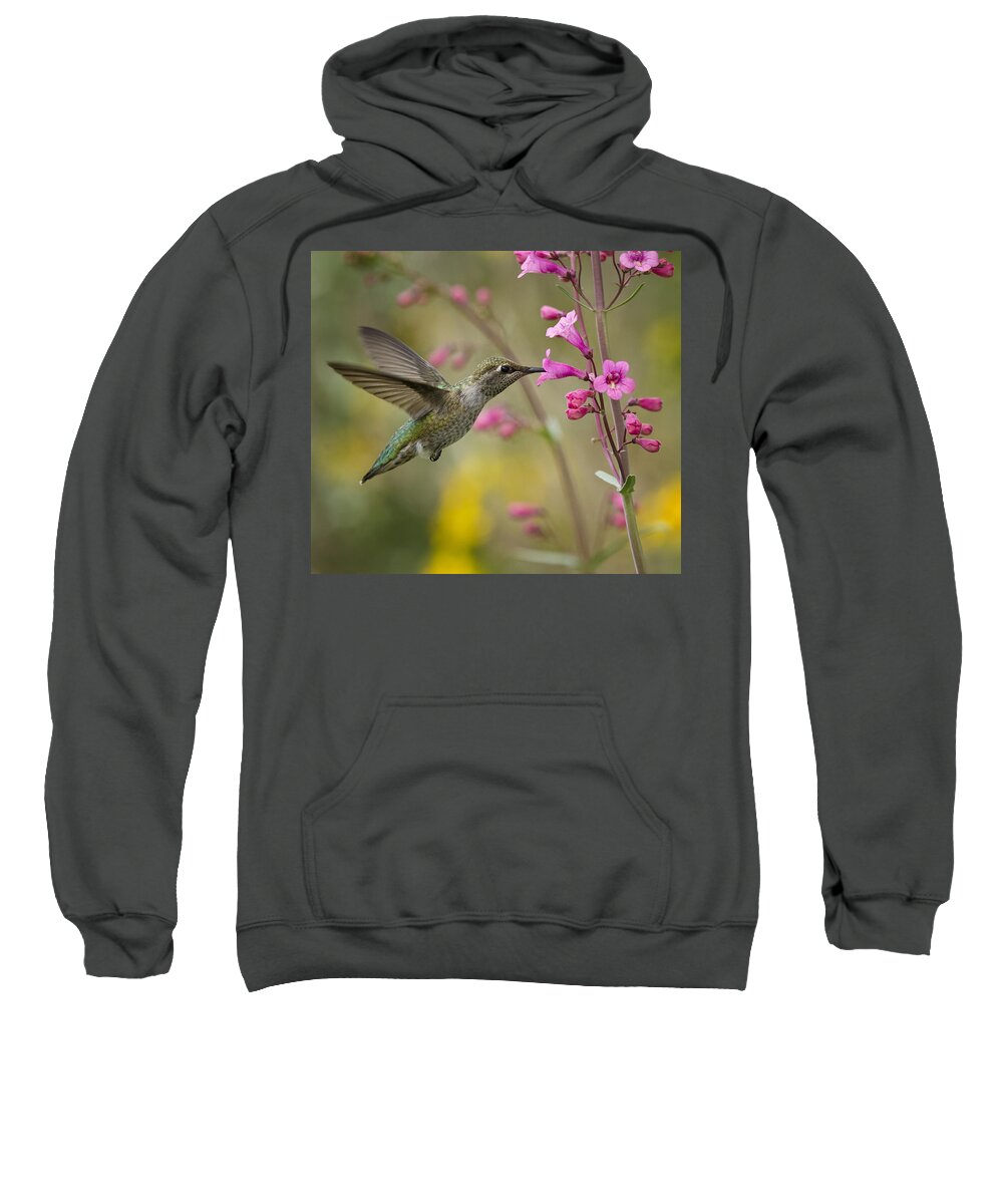 Hummingbird Sweatshirt featuring the photograph Hummingbird Heaven #3 by Saija Lehtonen