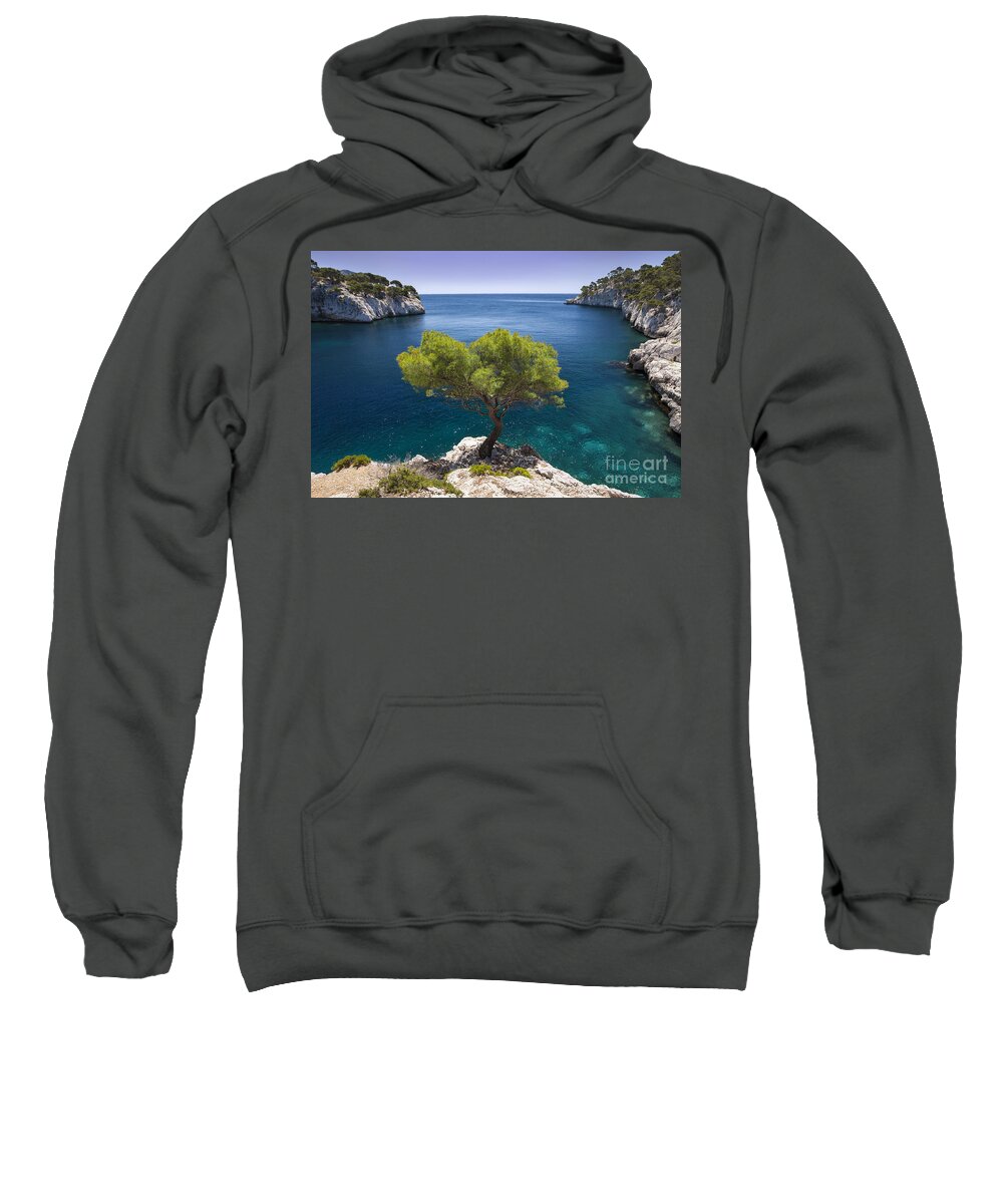 France Sweatshirt featuring the photograph Lone Pine Tree Provence France by Brian Jannsen