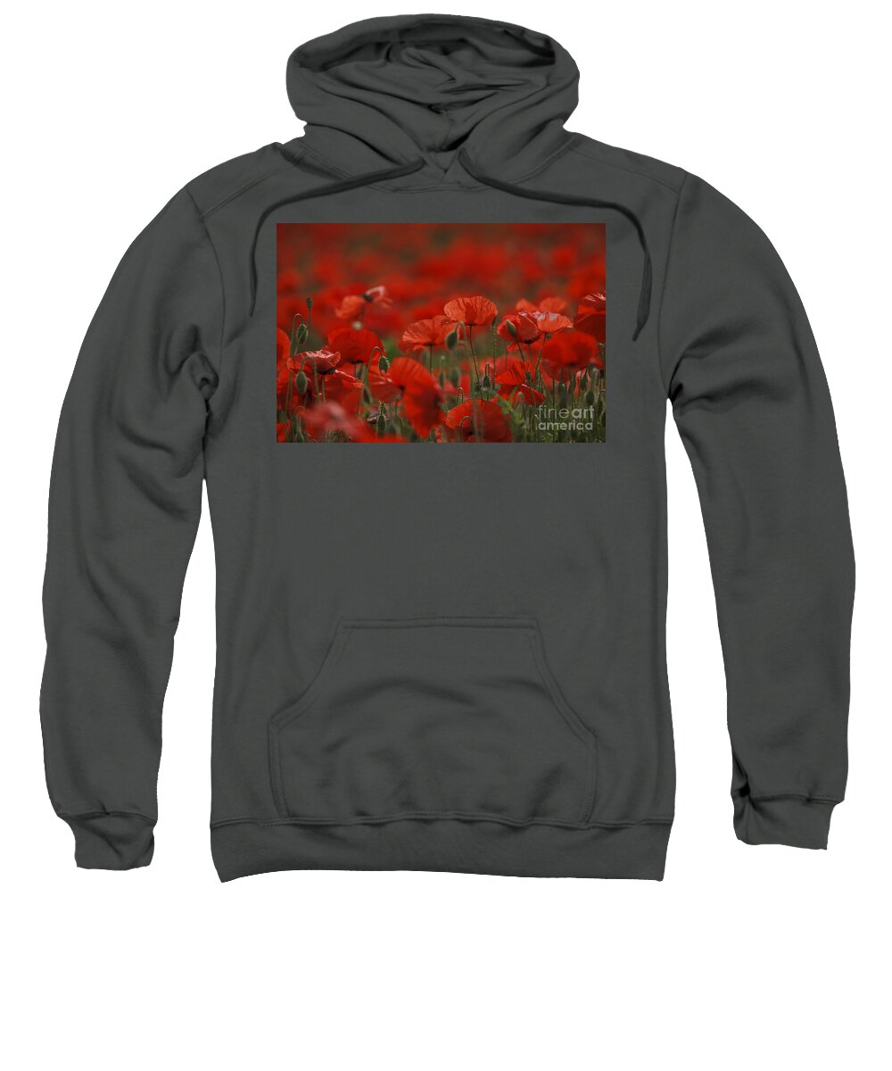 Poppy Sweatshirt featuring the photograph Red #1 by Nailia Schwarz
