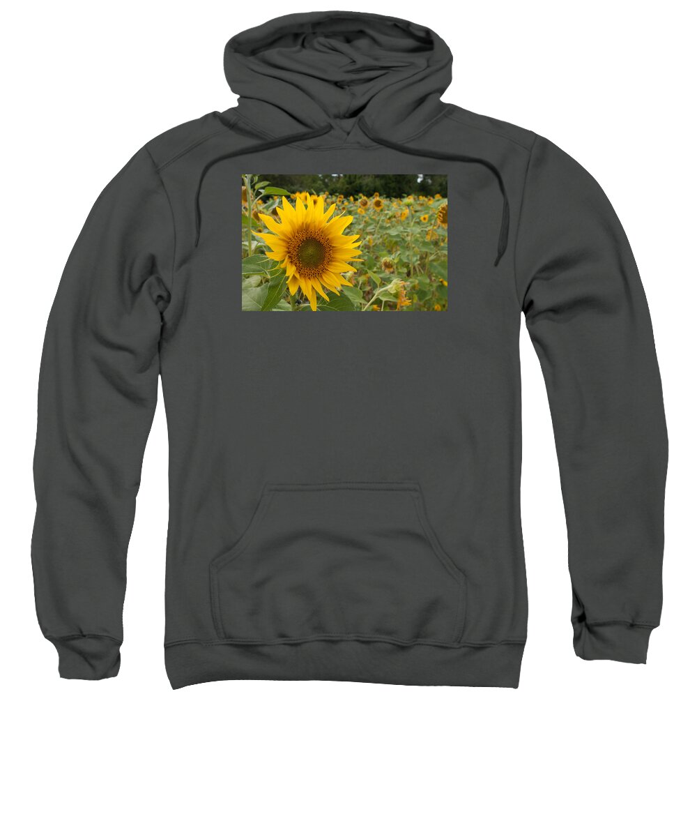Miguel Sweatshirt featuring the photograph Sun Flower Fields #2 by Miguel Winterpacht