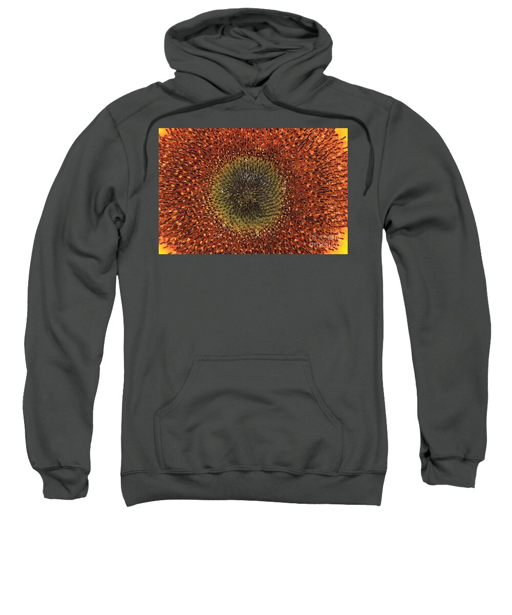 Background Sweatshirt featuring the photograph Sunflower Seeds by Amanda Mohler