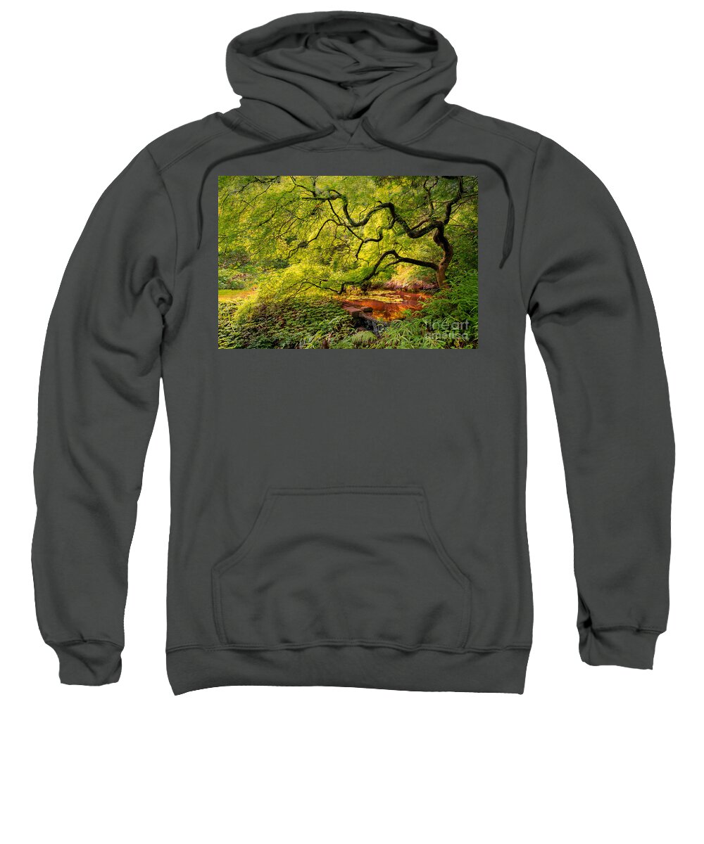  Sweatshirt featuring the photograph Tranquil Shade by Mark Rogers