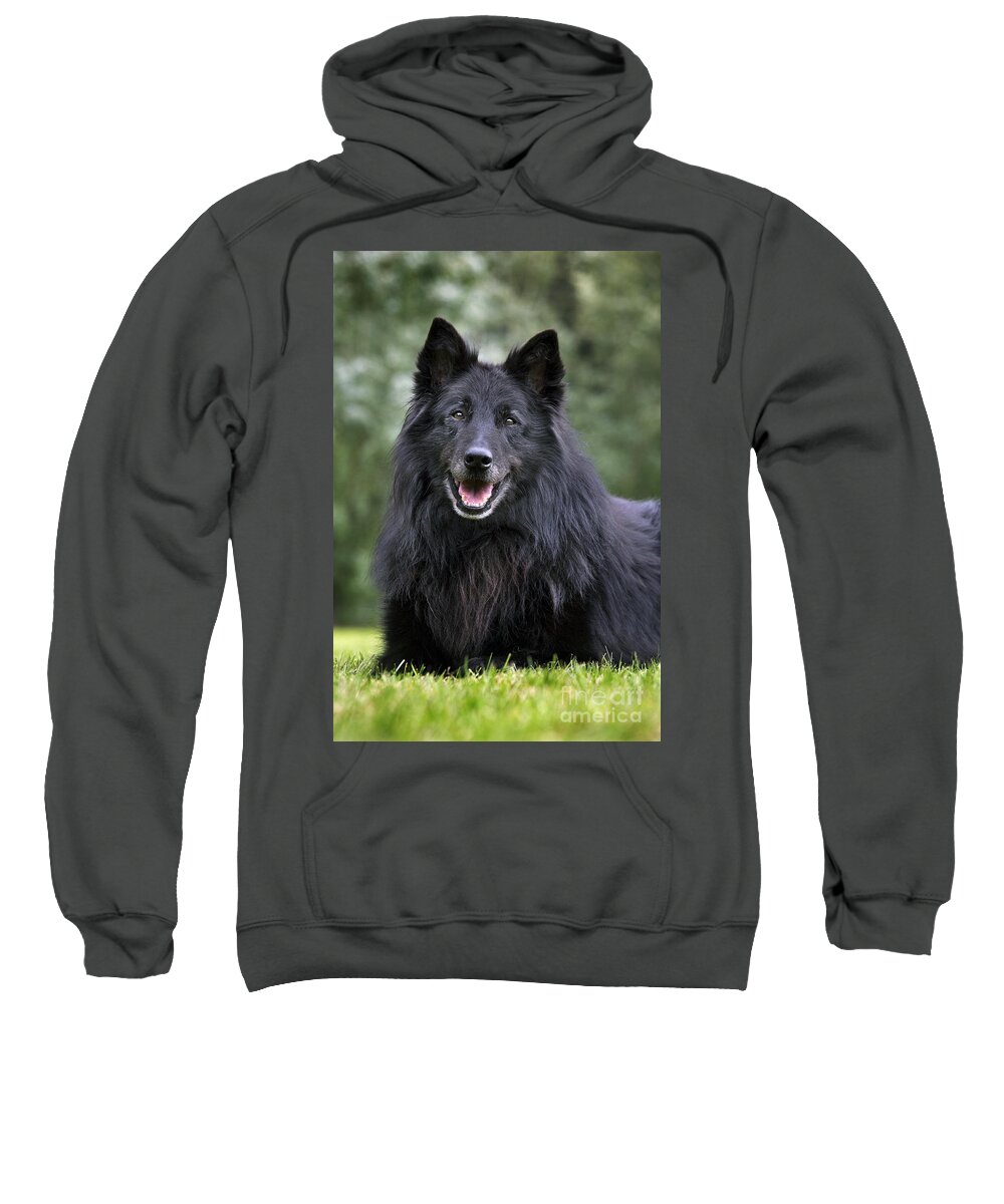 Groenendael Sweatshirt featuring the photograph 110801p102 by Arterra Picture Library