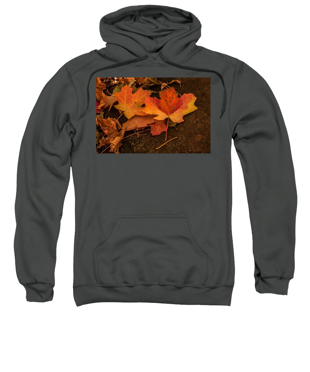 Fallen Leaves Sweatshirt featuring the photograph West Fork Fallen Leaves by Tam Ryan