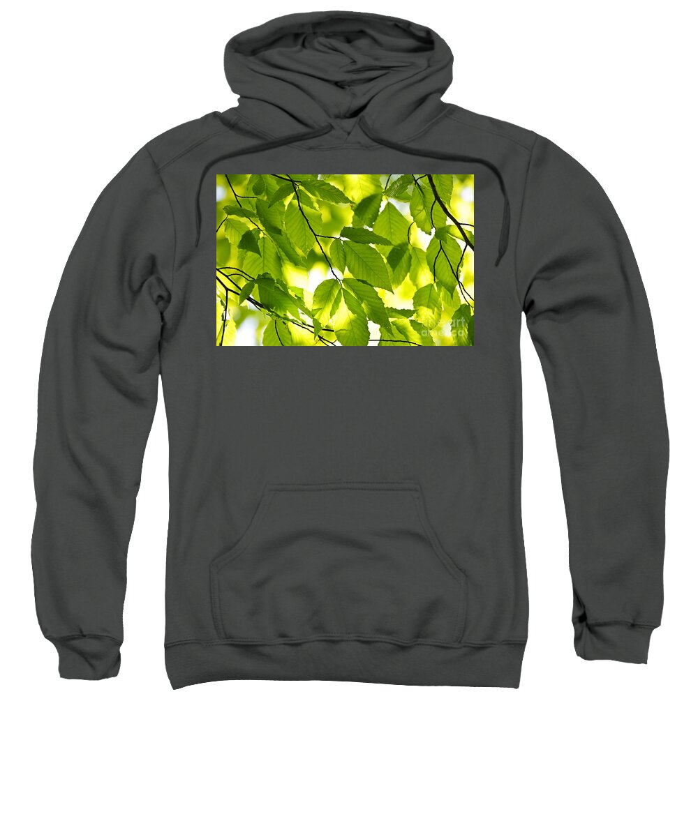 Green Sweatshirt featuring the photograph Green spring leaves 1 by Elena Elisseeva