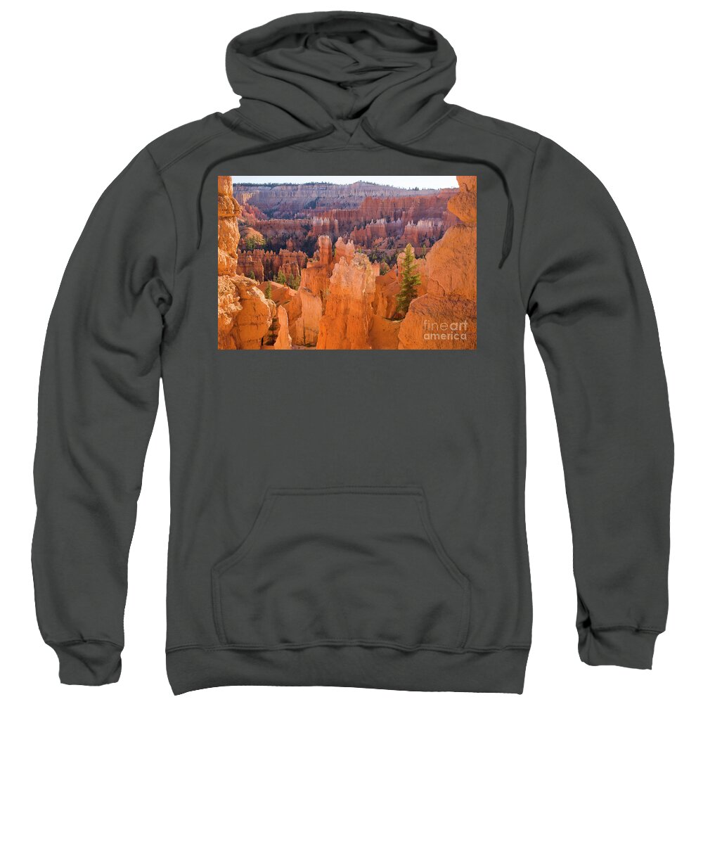 00431149 Sweatshirt featuring the photograph Sandstone Hoodoos in Bryce Canyon #2 by Yva Momatiuk John Eastcott