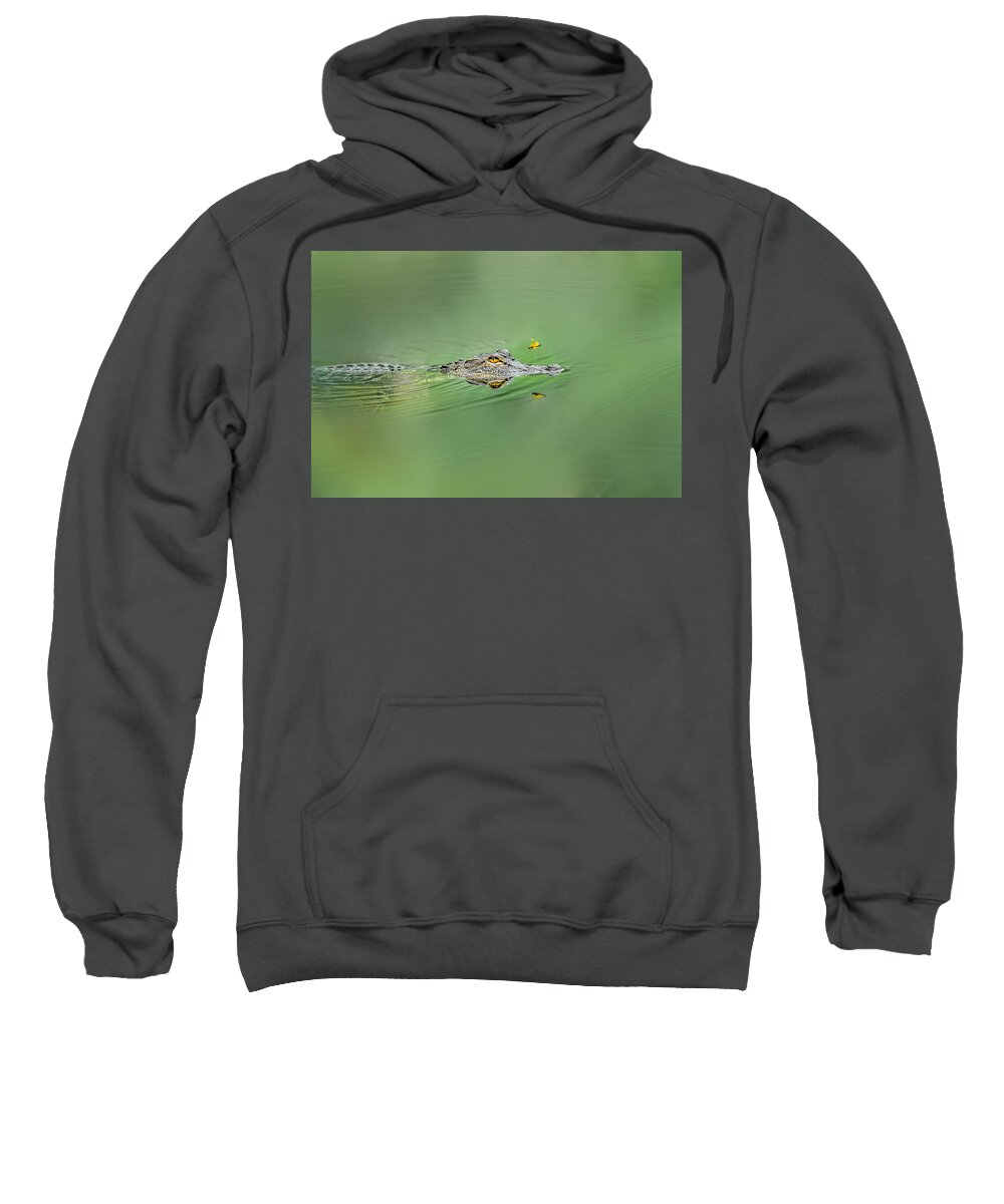 Aggression Sweatshirt featuring the photograph Alligator #3 by Peter Lakomy