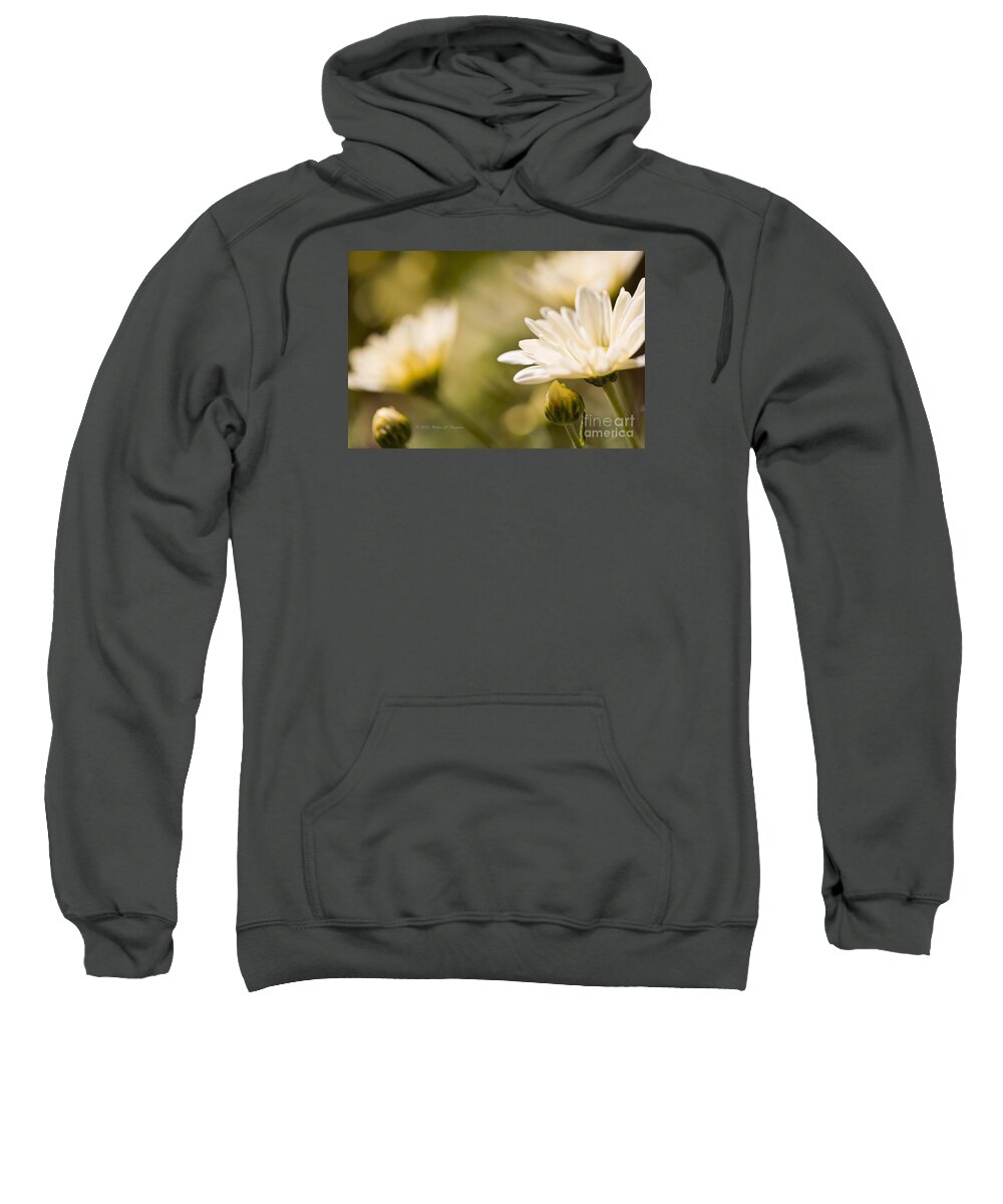 Chrysanthemum Sweatshirt featuring the photograph Chrysanthemum Flowers #4 by Richard J Thompson 
