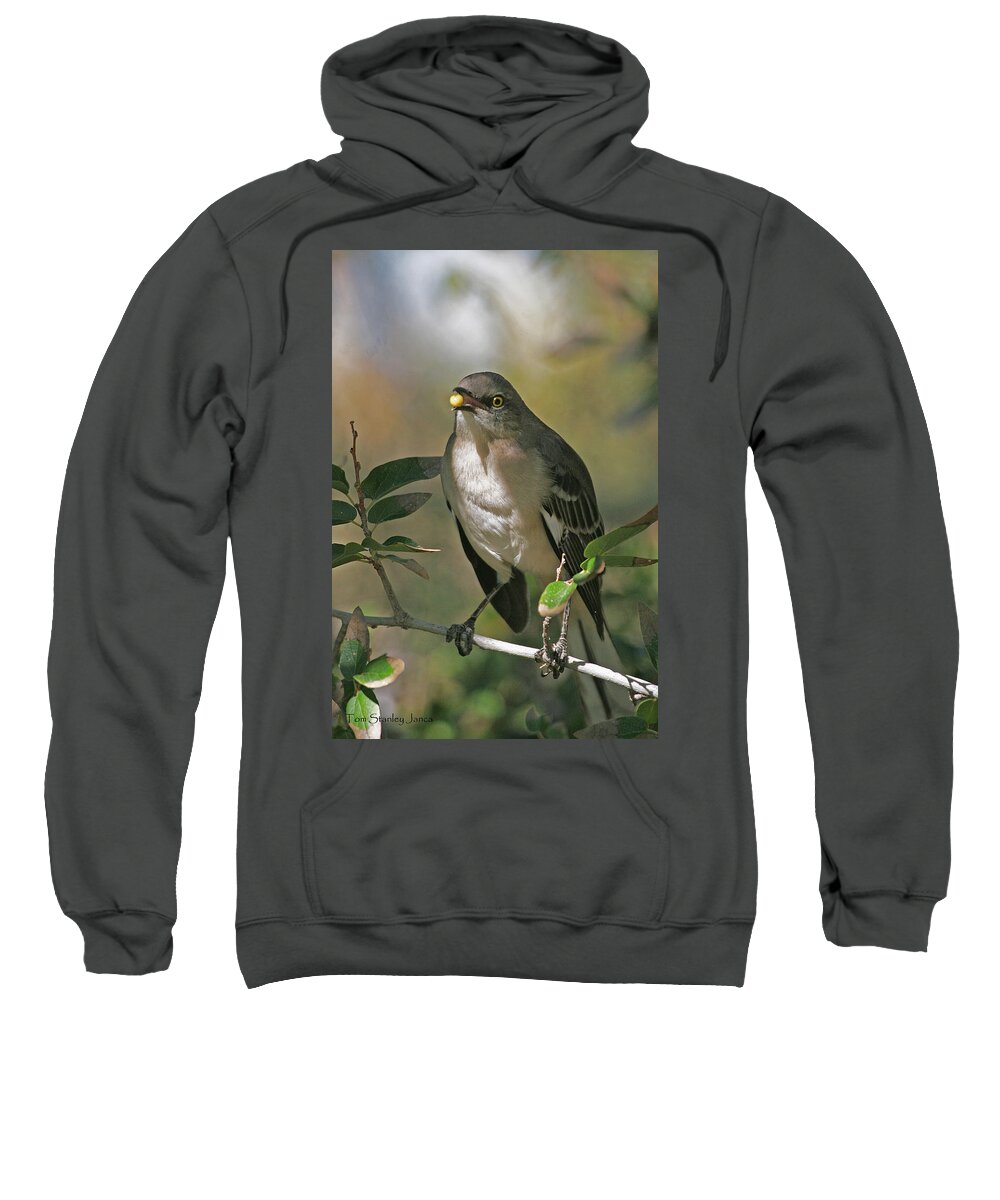 Mocking Bird With Ripe Hackberry Sweatshirt featuring the photograph Mocking Bird With Ripe Hackberry #3 by Tom Janca