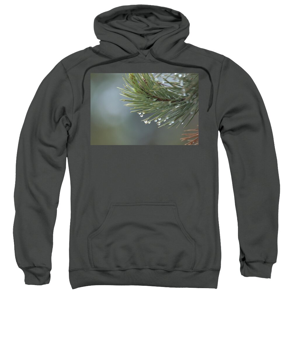 Water Drops Sweatshirt featuring the photograph A Foggy Morning by Frank Madia