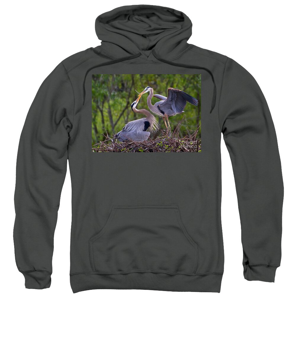 Bird Sweatshirt featuring the photograph A Gift for the Nest by Sabrina L Ryan