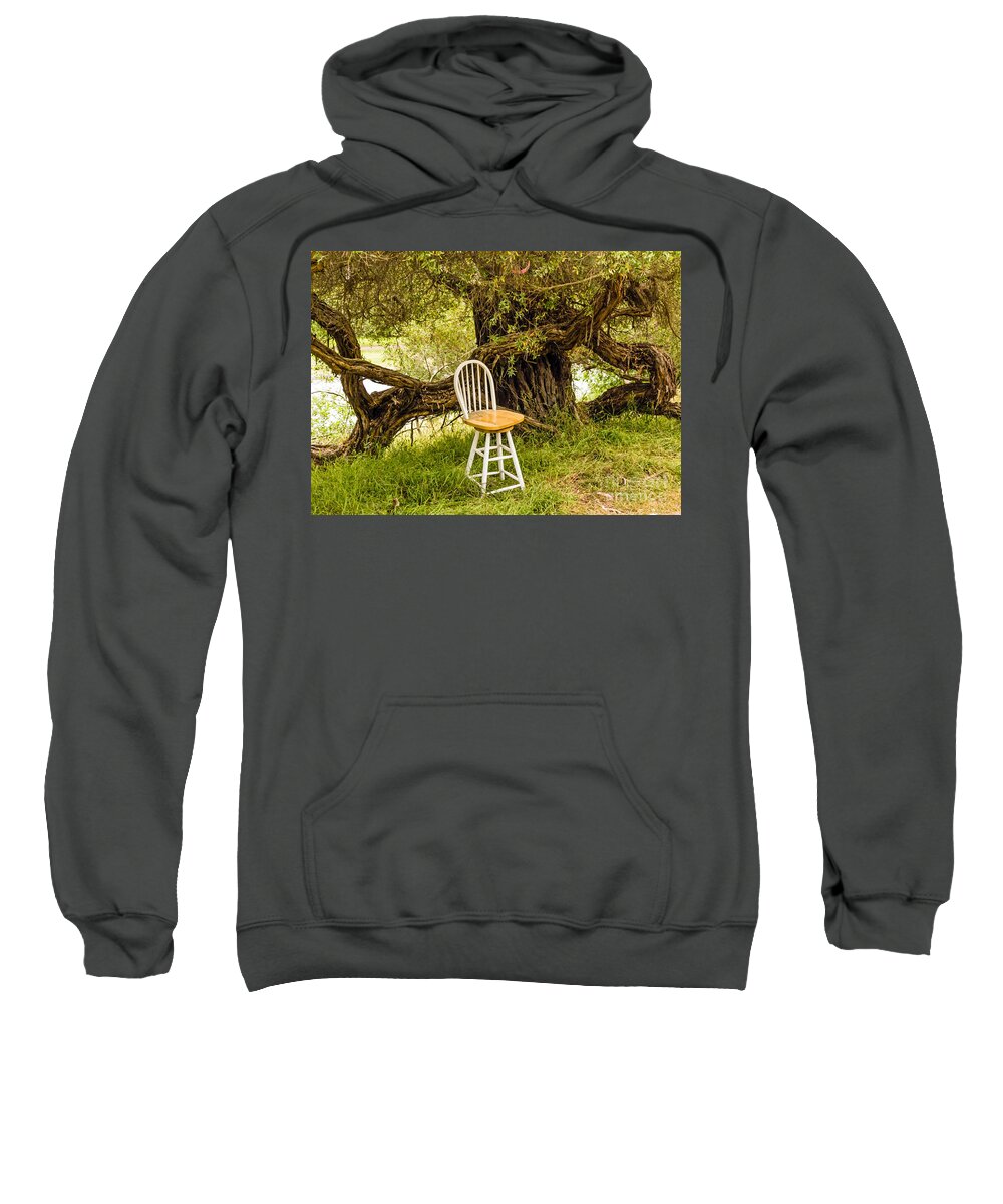 Brown Sweatshirt featuring the photograph A Little Solitude by Kate Brown