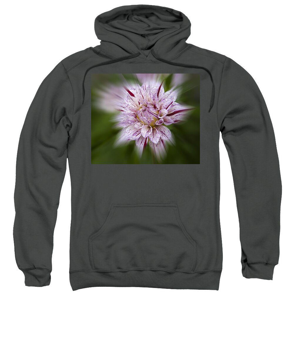 Flowers Sweatshirt featuring the photograph A Taste of Wine by Penny Lisowski