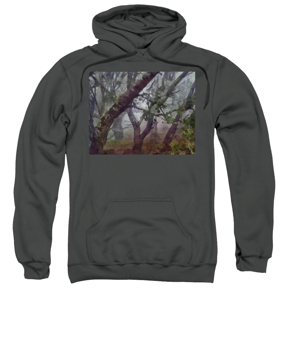 Trees Sweatshirt featuring the photograph A Welcoming softness by Suzy Norris