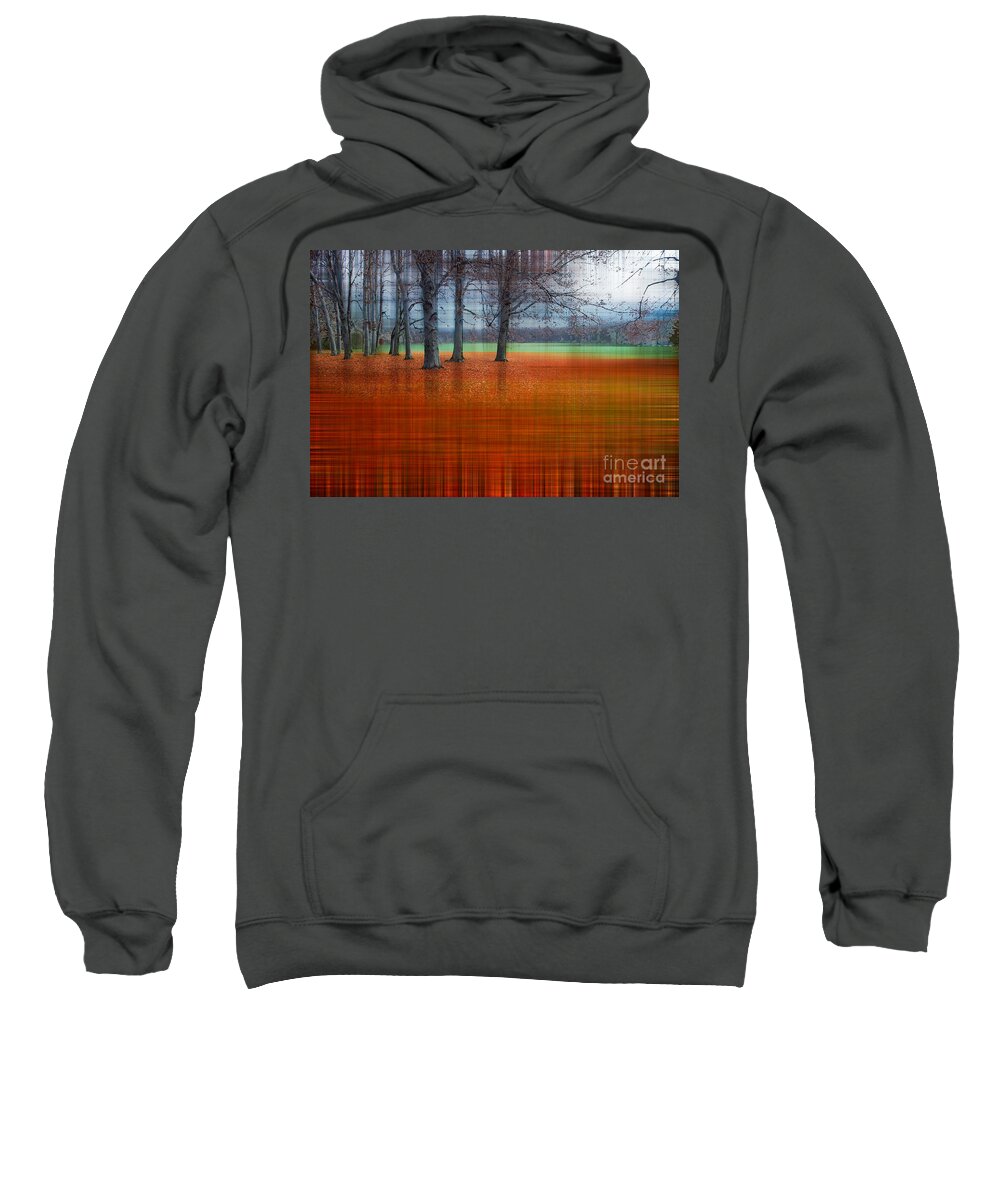 Abstract Sweatshirt featuring the photograph abstract atumn II by Hannes Cmarits
