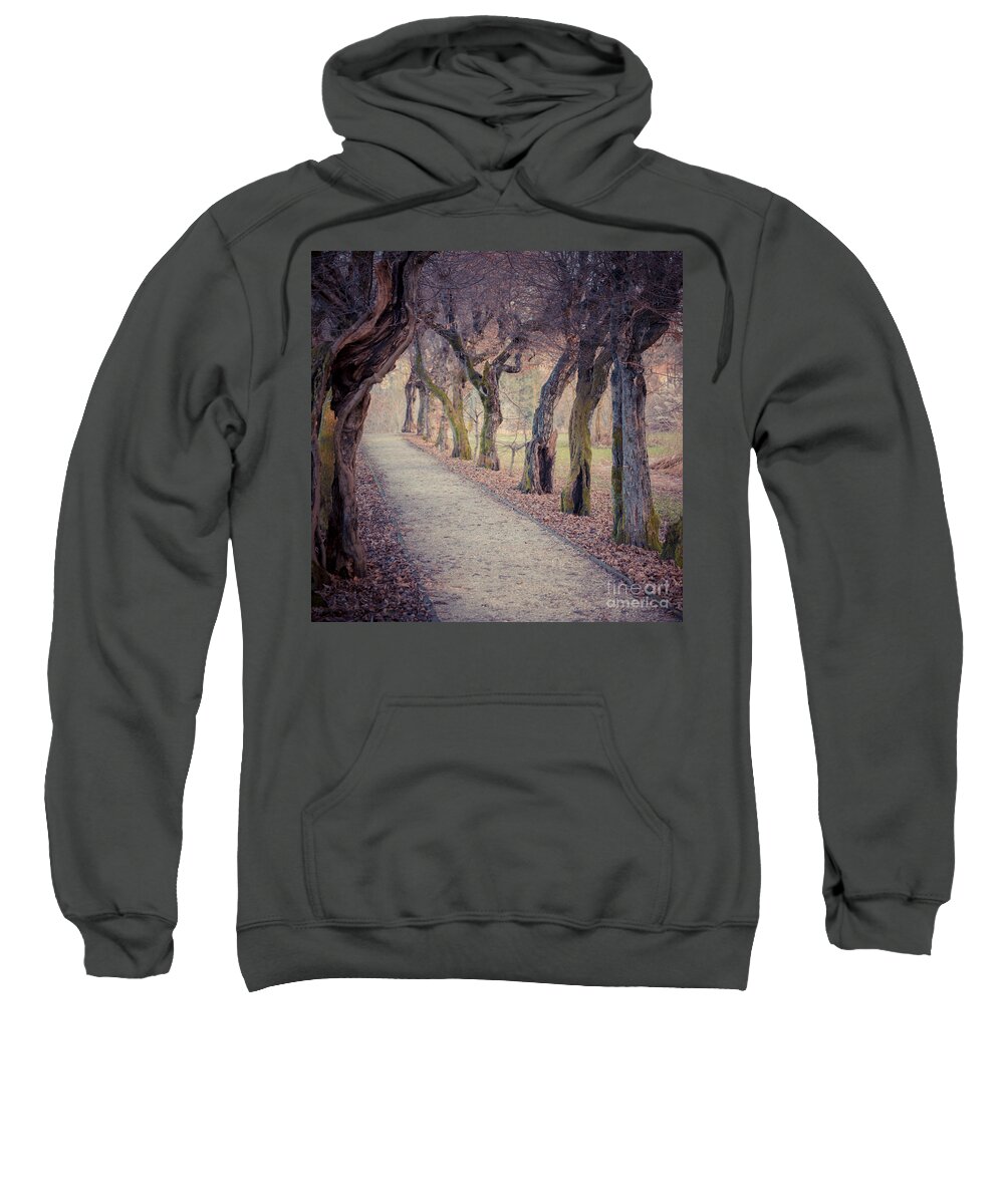 Austria Sweatshirt featuring the photograph Alley - Square by Hannes Cmarits