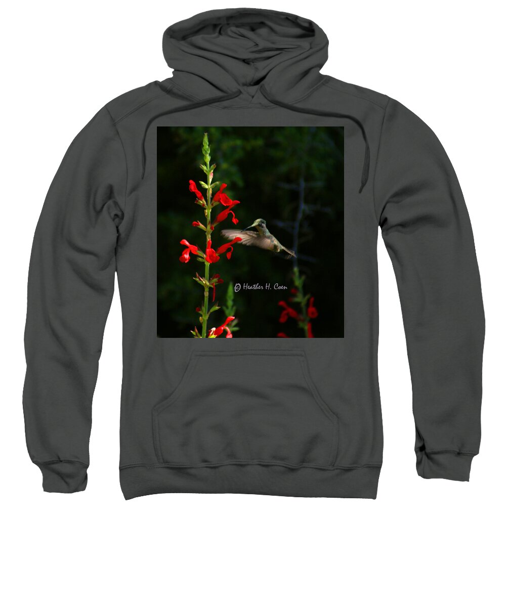 Birds Sweatshirt featuring the photograph Anna's Hummingbird and Red by Heather Coen