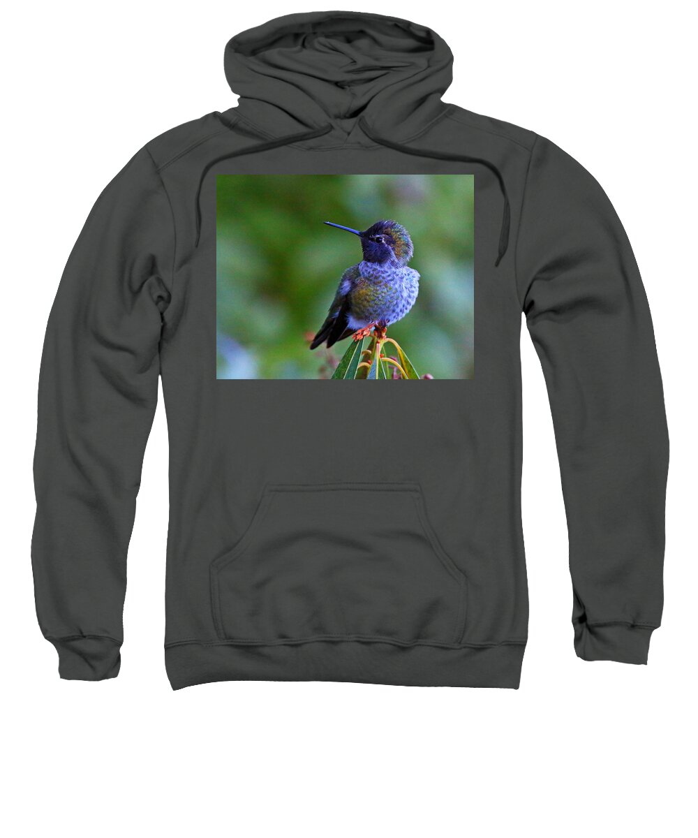 Anna's Hummingbird Sweatshirt featuring the photograph Annas Hummingbird by Randy Hall