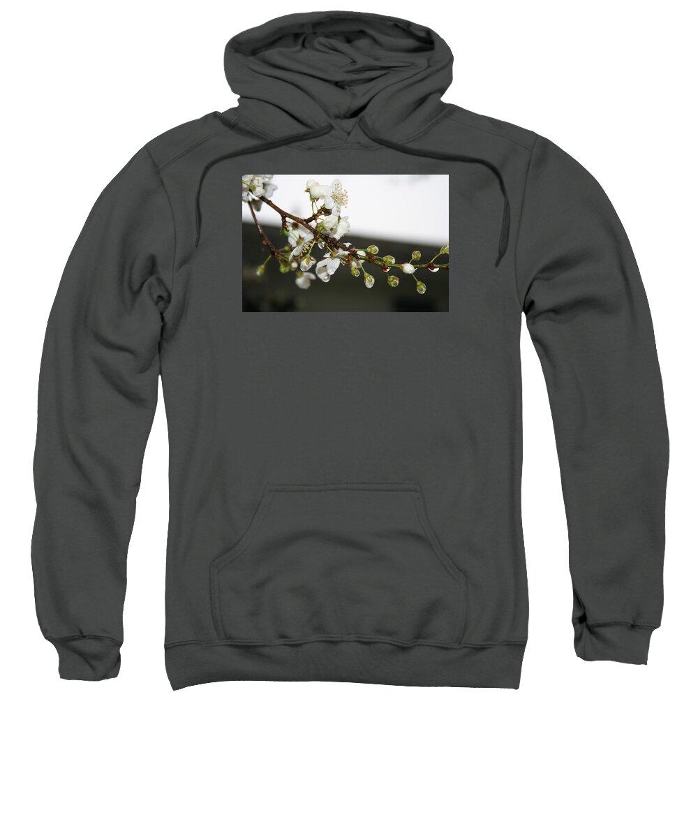 Apple Blossom Sweatshirt featuring the photograph Apple Blossom Buds by Valerie Collins