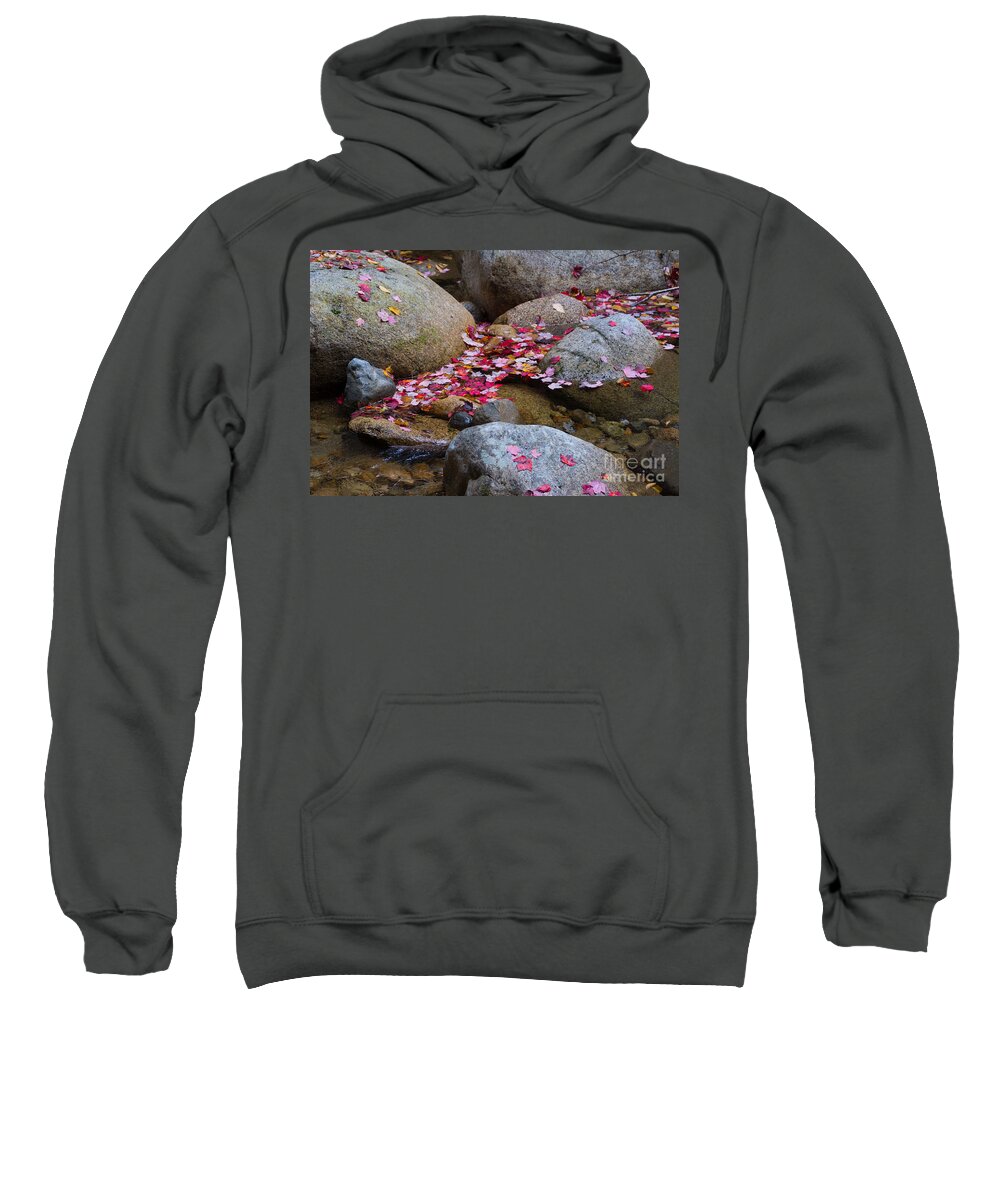 Autumn Sweatshirt featuring the photograph Autmun Leaves by John Greco