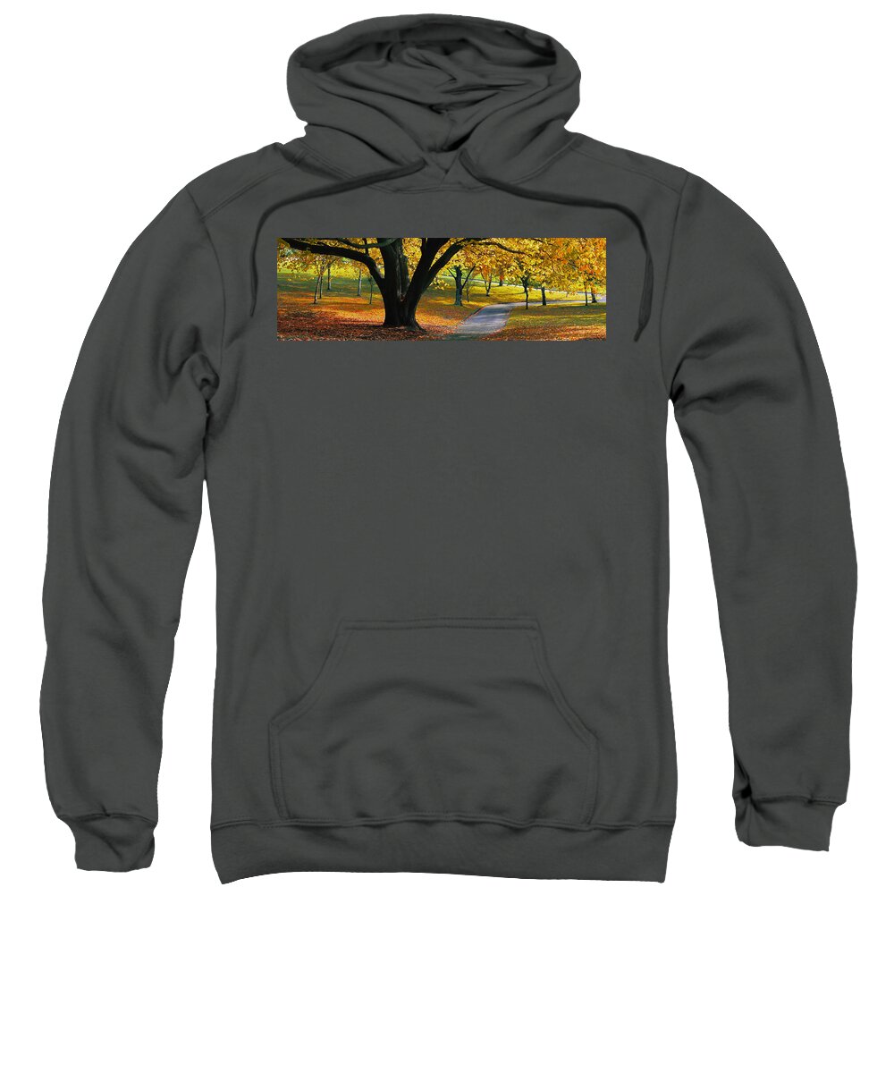 Autumn Sweatshirt featuring the photograph Autumn Colours by Anthony Davey