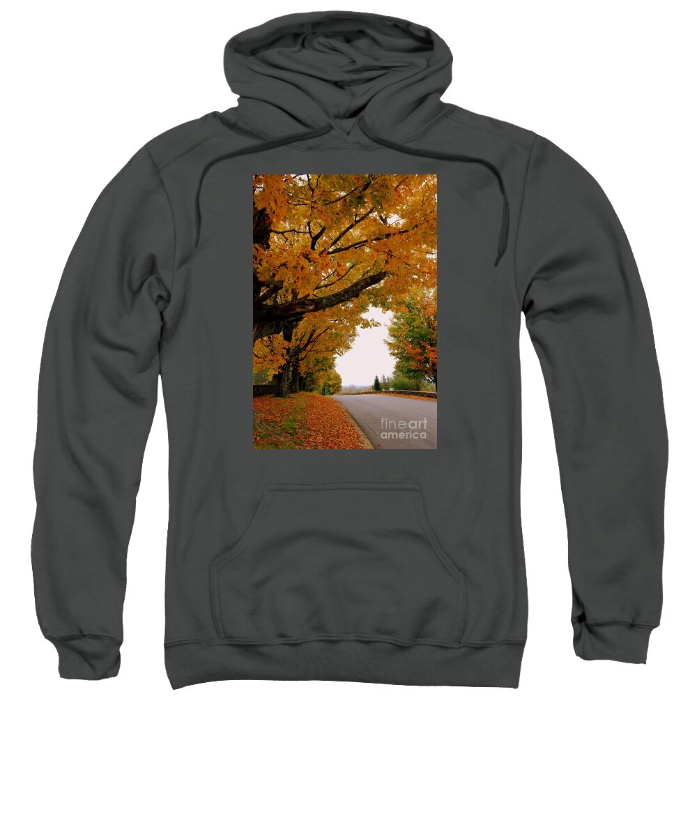 Golden Yellow Leaves Sweatshirt featuring the photograph Autumn Gold by Eunice Miller