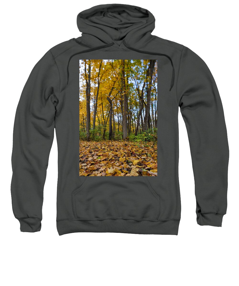 Fall Sweatshirt featuring the photograph Autumn is Here by Sebastian Musial