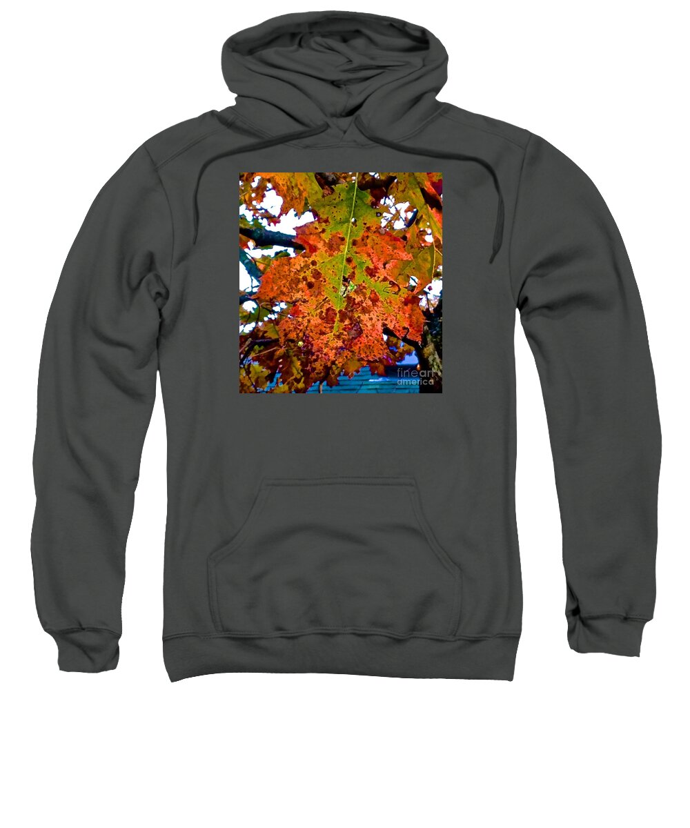 Autumn Sweatshirt featuring the photograph Autumn Leaves by Christy Gendalia