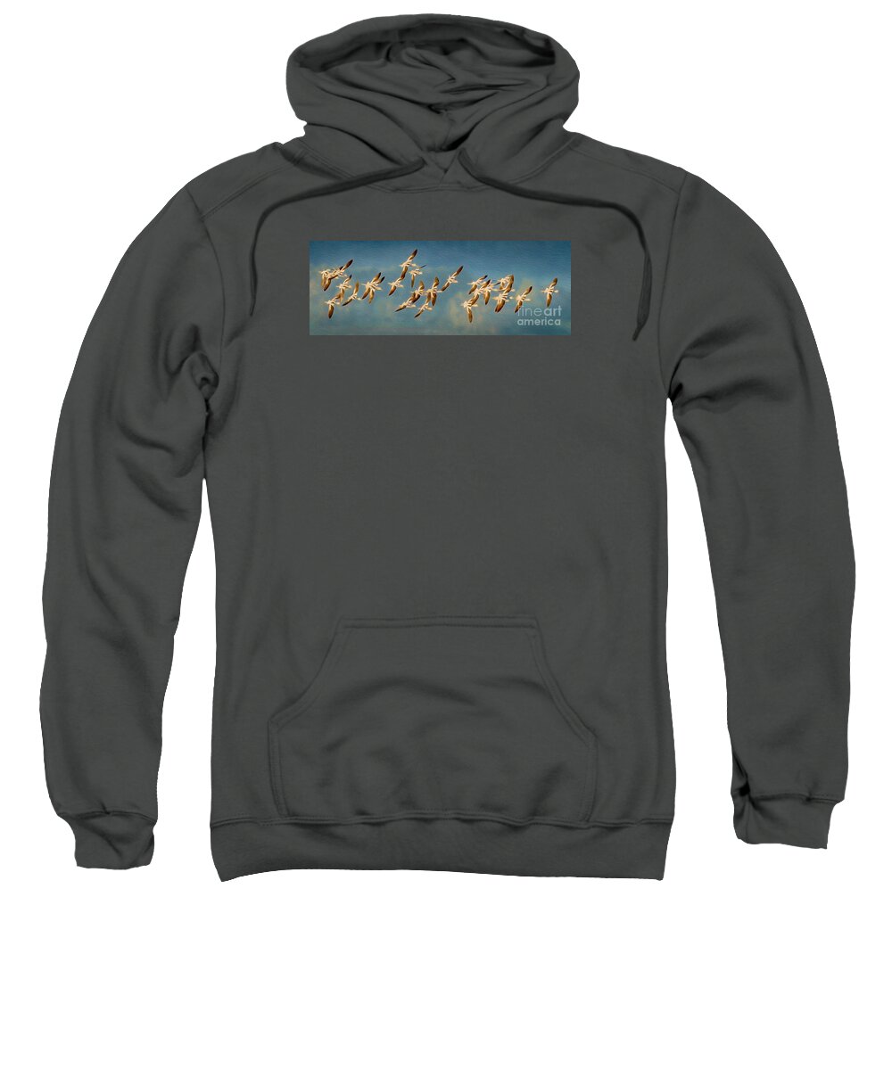American Avocet Sweatshirt featuring the photograph Avocet Art by Alice Cahill