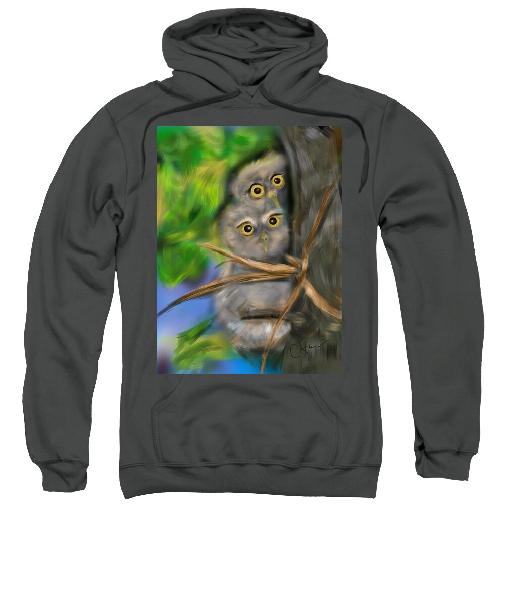 Animals Sweatshirt featuring the digital art Baby Owls by Christine Fournier