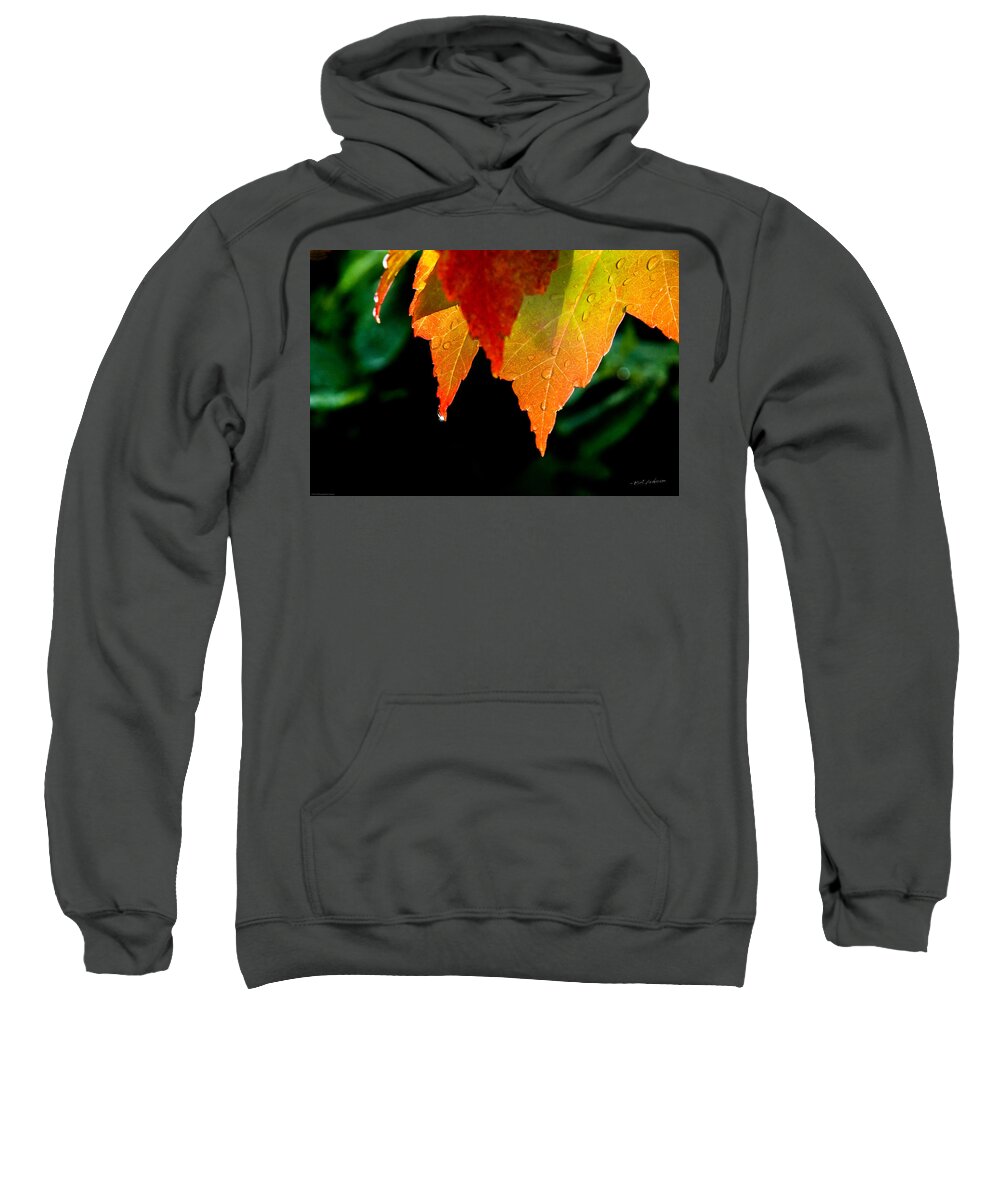 Grateful Sweatshirt featuring the photograph Be Grateful for Autumn's Sun by Mick Anderson