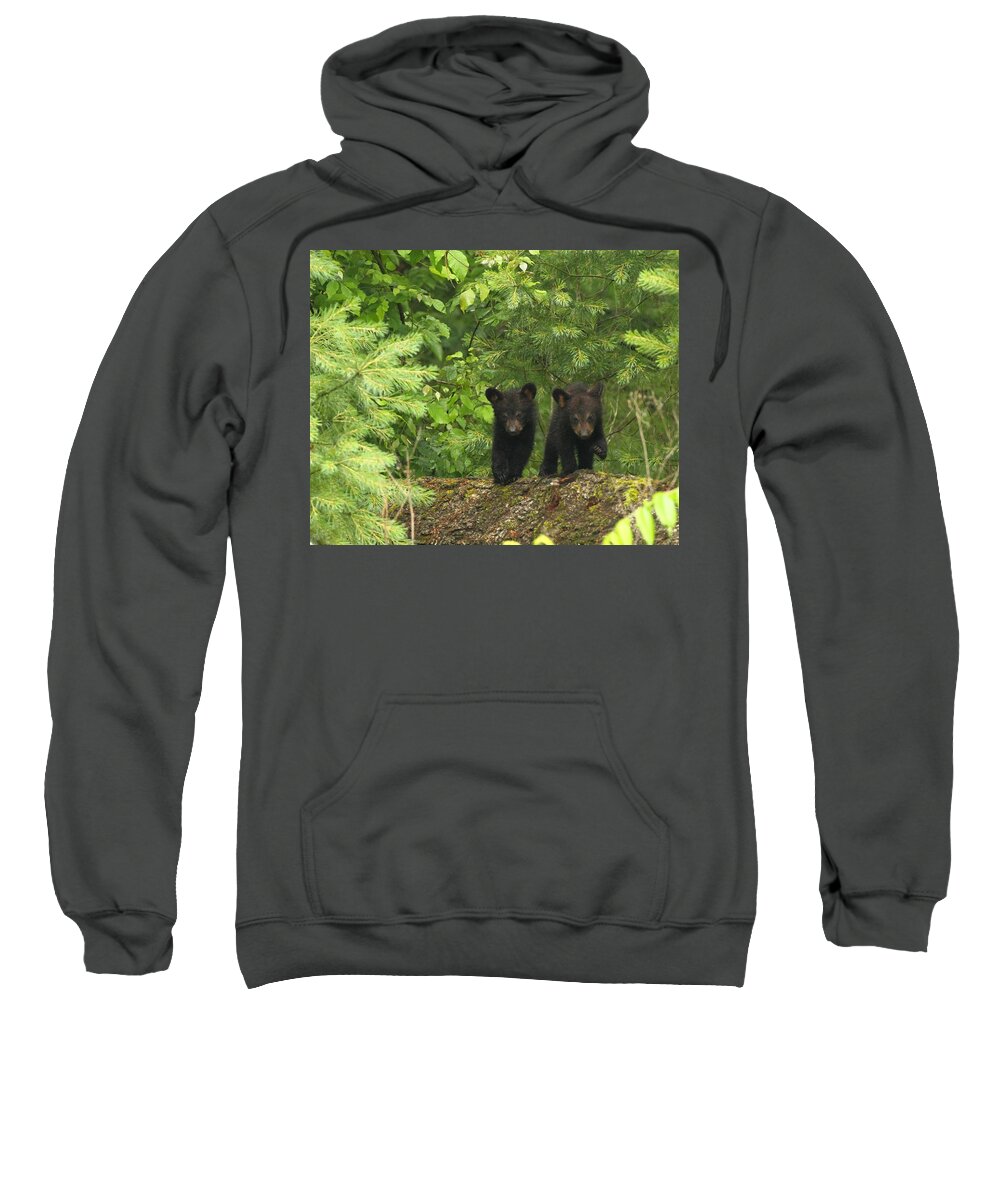 Black Bears Sweatshirt featuring the photograph Bear Buddies by Coby Cooper