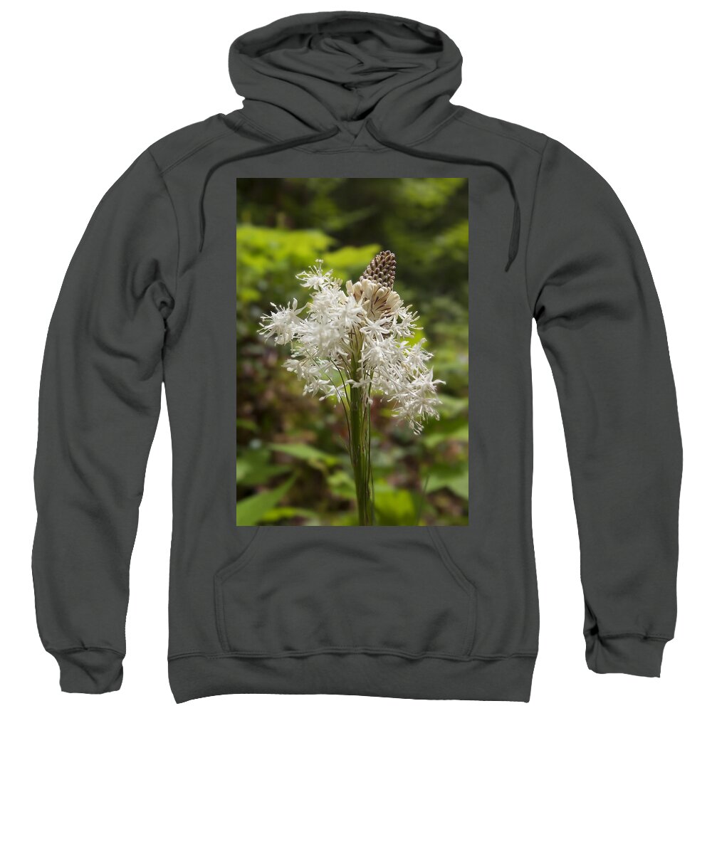 Art Sweatshirt featuring the photograph Bear Grass No 2 by Belinda Greb