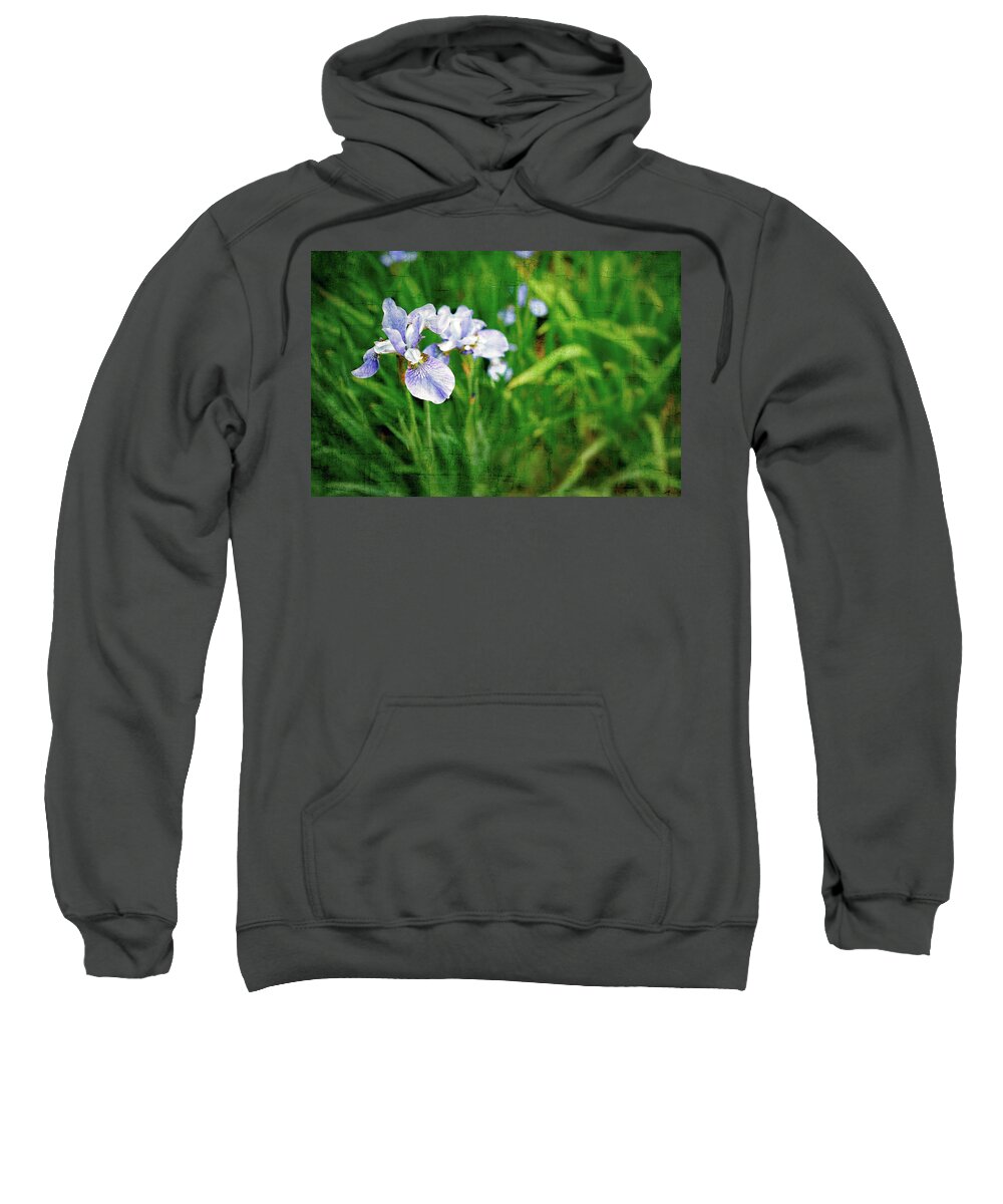 Iris Sweatshirt featuring the photograph Beautiful Louisiana Hybrid Iris by Marianne Campolongo