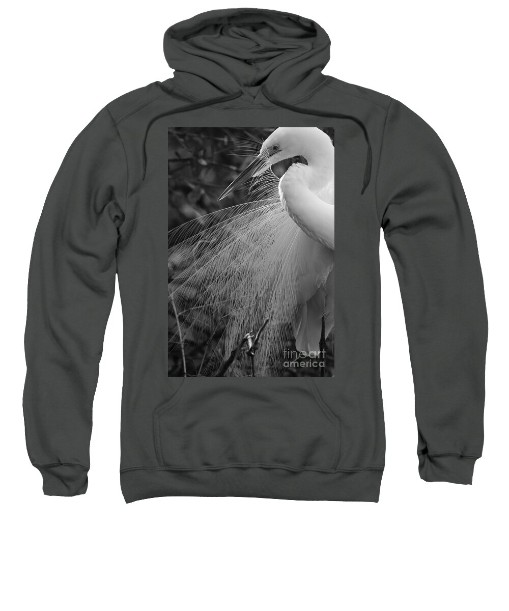 Black And White Sweatshirt featuring the photograph Kiss Of Plumes by John F Tsumas