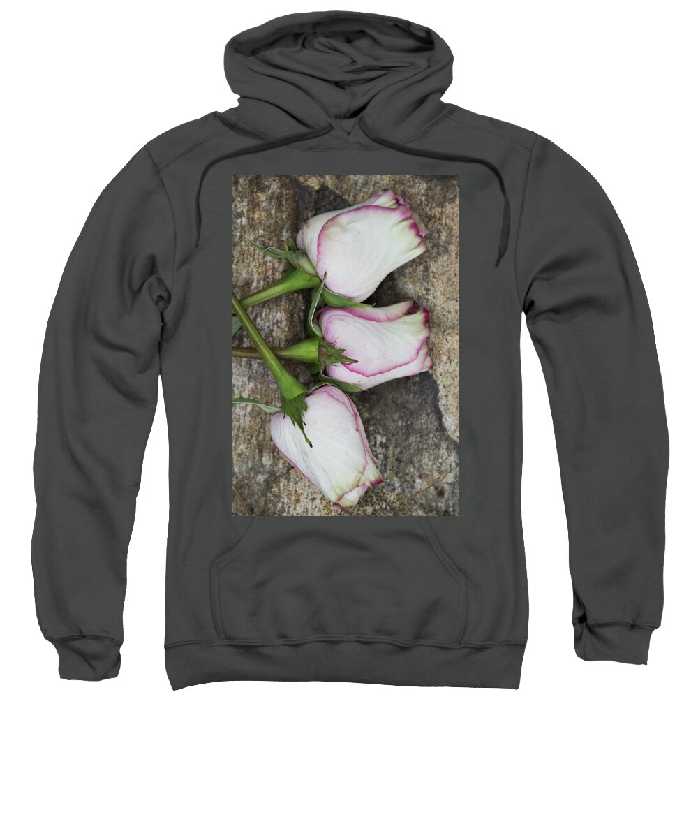 Rose Sweatshirt featuring the photograph Beauty Is In The Imperfections 3 by Angelina Tamez