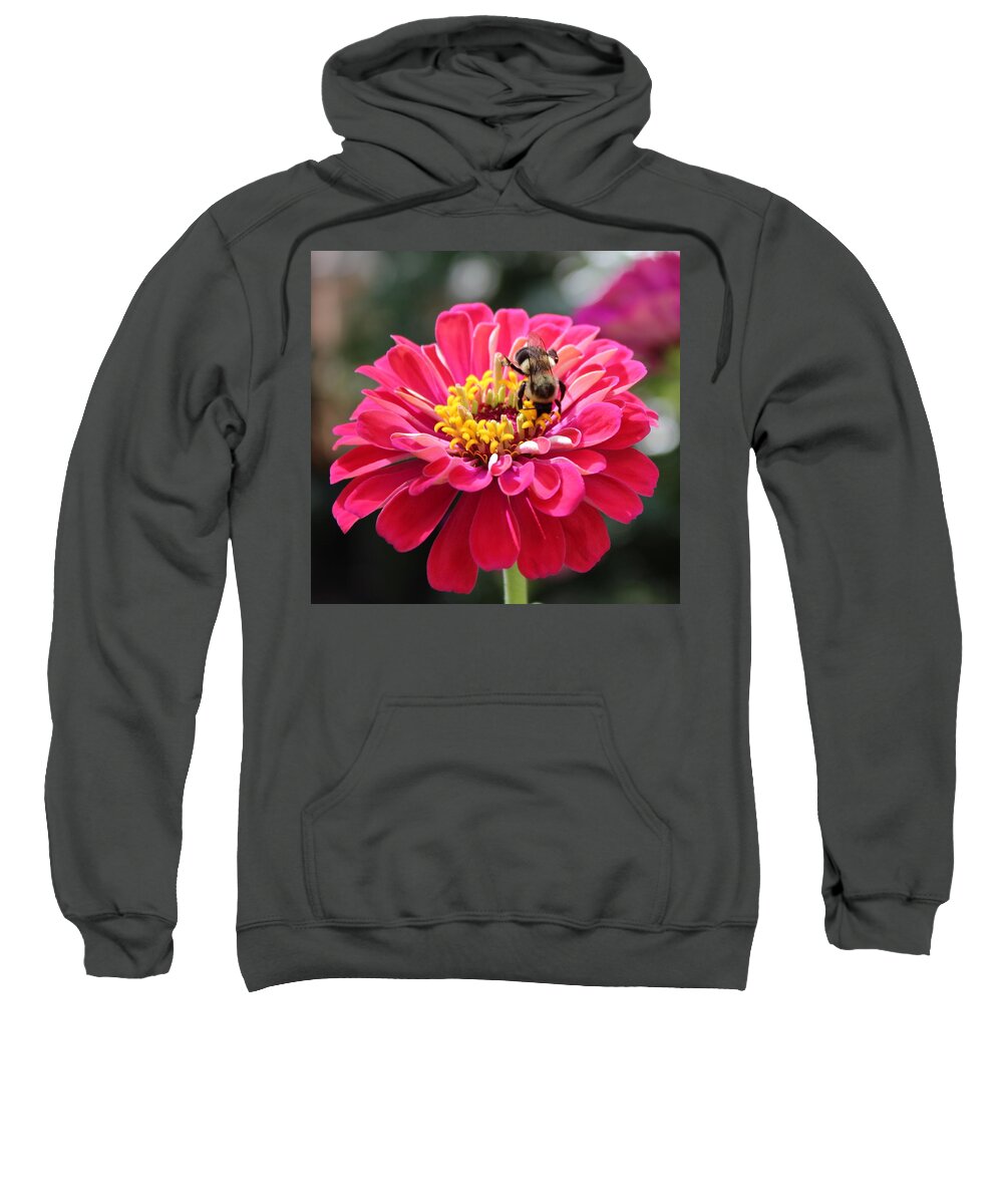 Zinnia Sweatshirt featuring the photograph Bee On Pink Flower by Cynthia Guinn