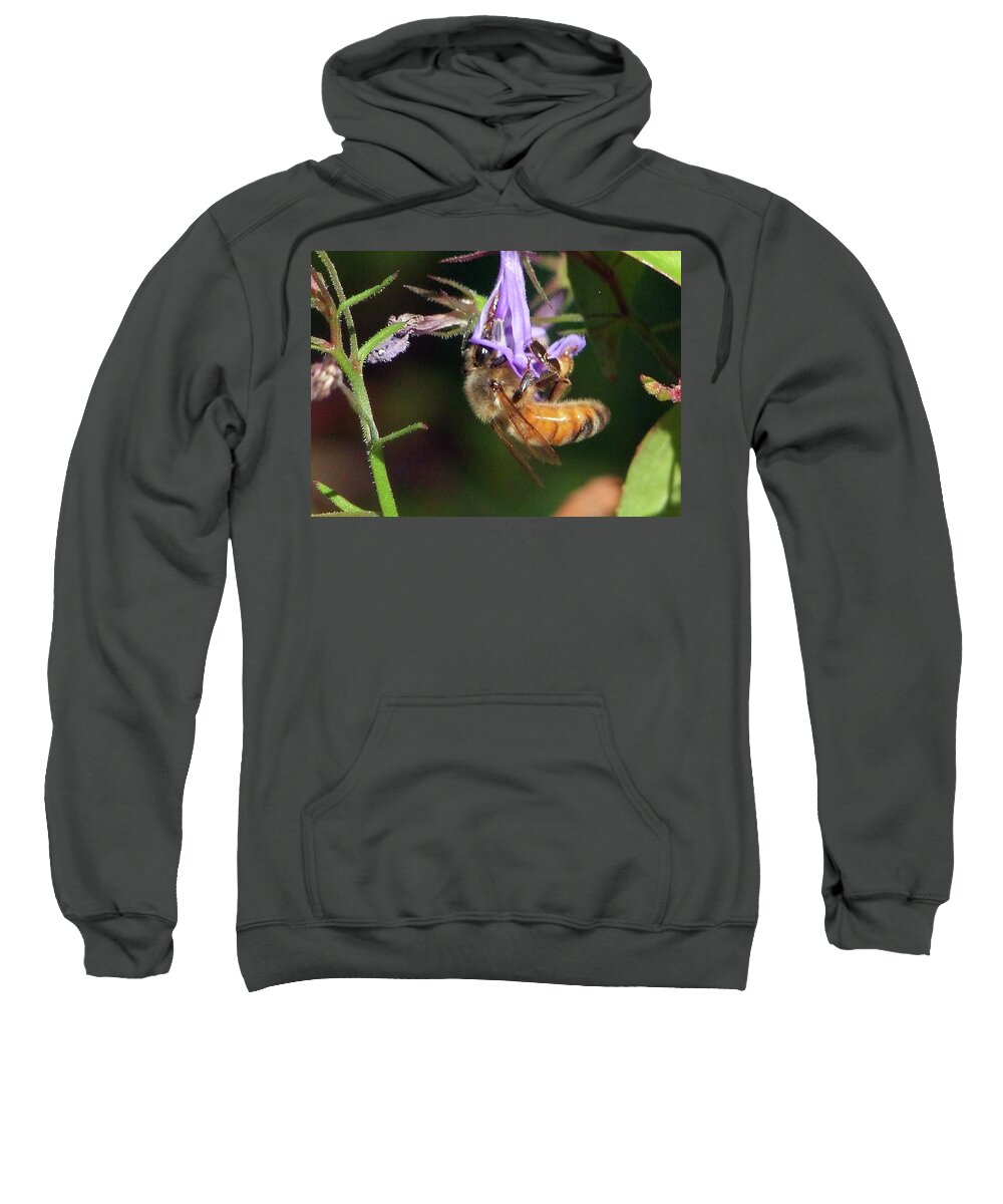 Insect Sweatshirt featuring the photograph Bee with flower by Ron Roberts