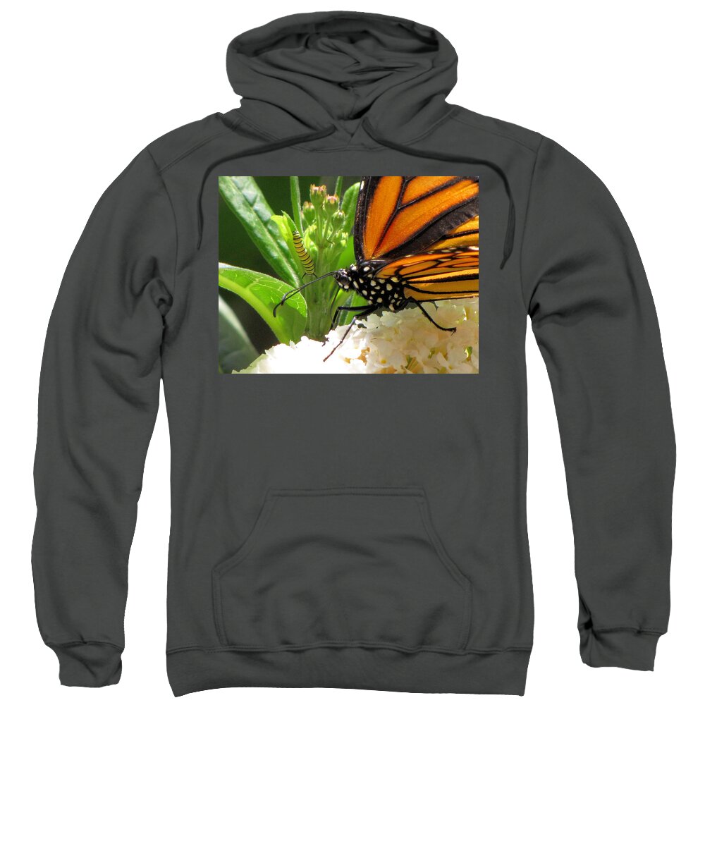 Monarch Sweatshirt featuring the photograph Before and After by KATIE Vigil
