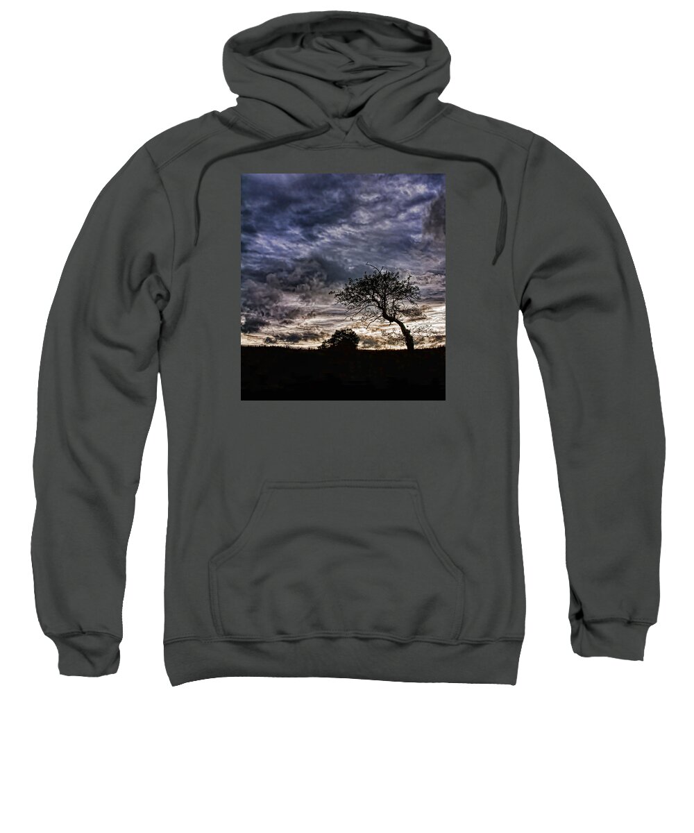 Northumberland Shore Sweatshirt featuring the photograph Nova Scotia's Lonely Tree Before the Storm by Ginger Wakem