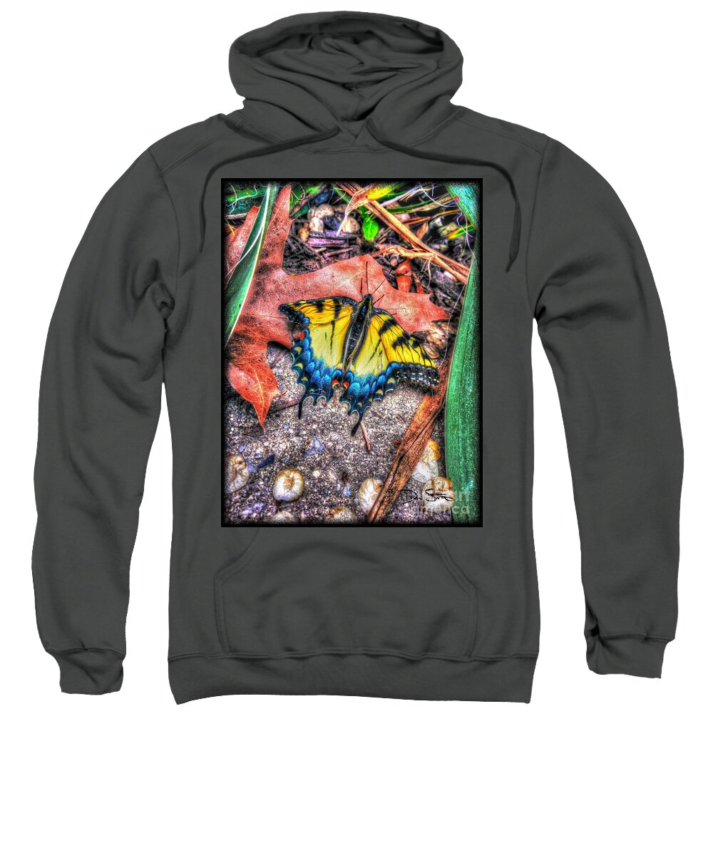 Butterfly Sweatshirt featuring the photograph Beyond Chrysalis-Tiger Swallowtail by Dan Stone
