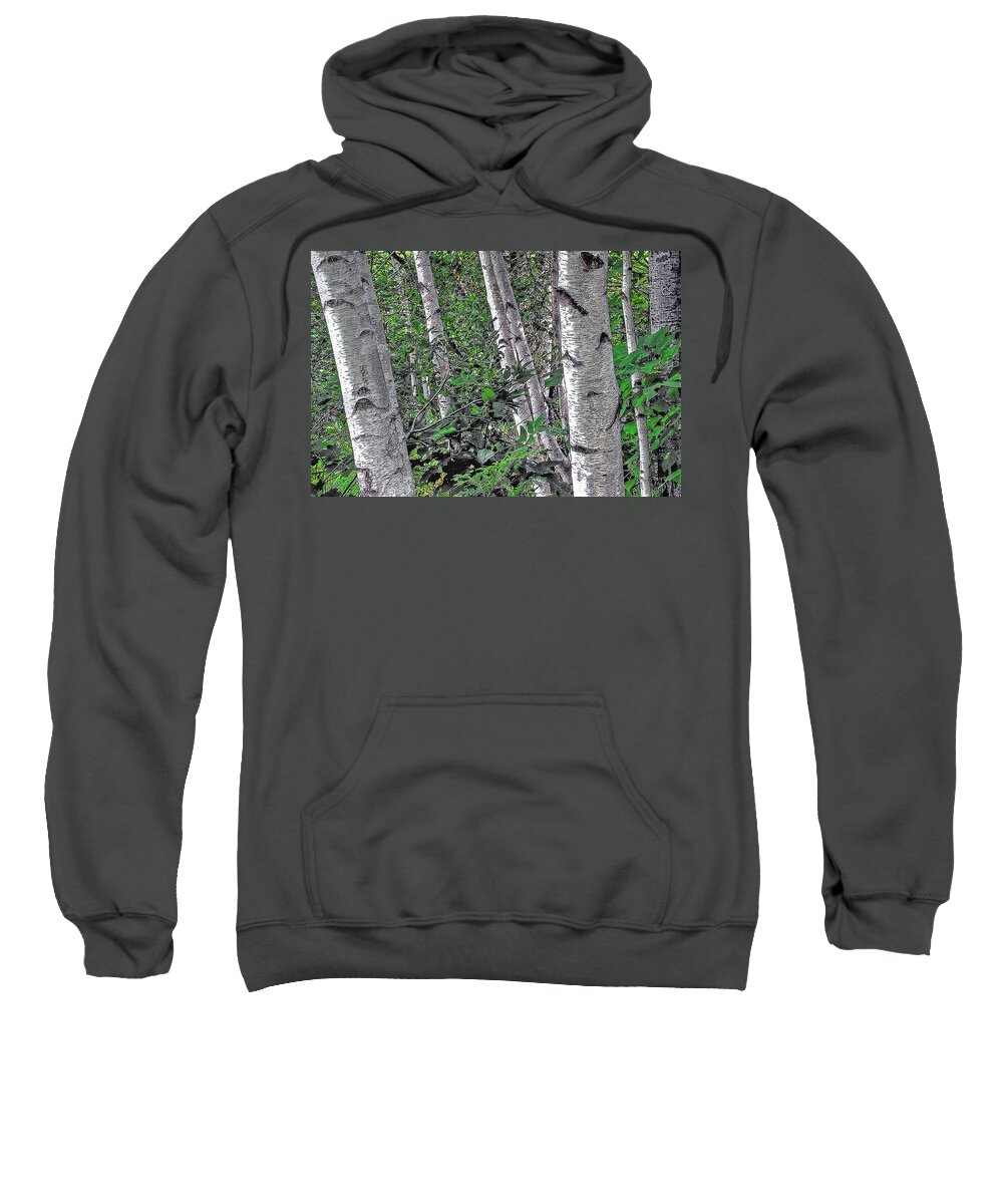 Trees Sweatshirt featuring the photograph Birches by Phyllis Meinke