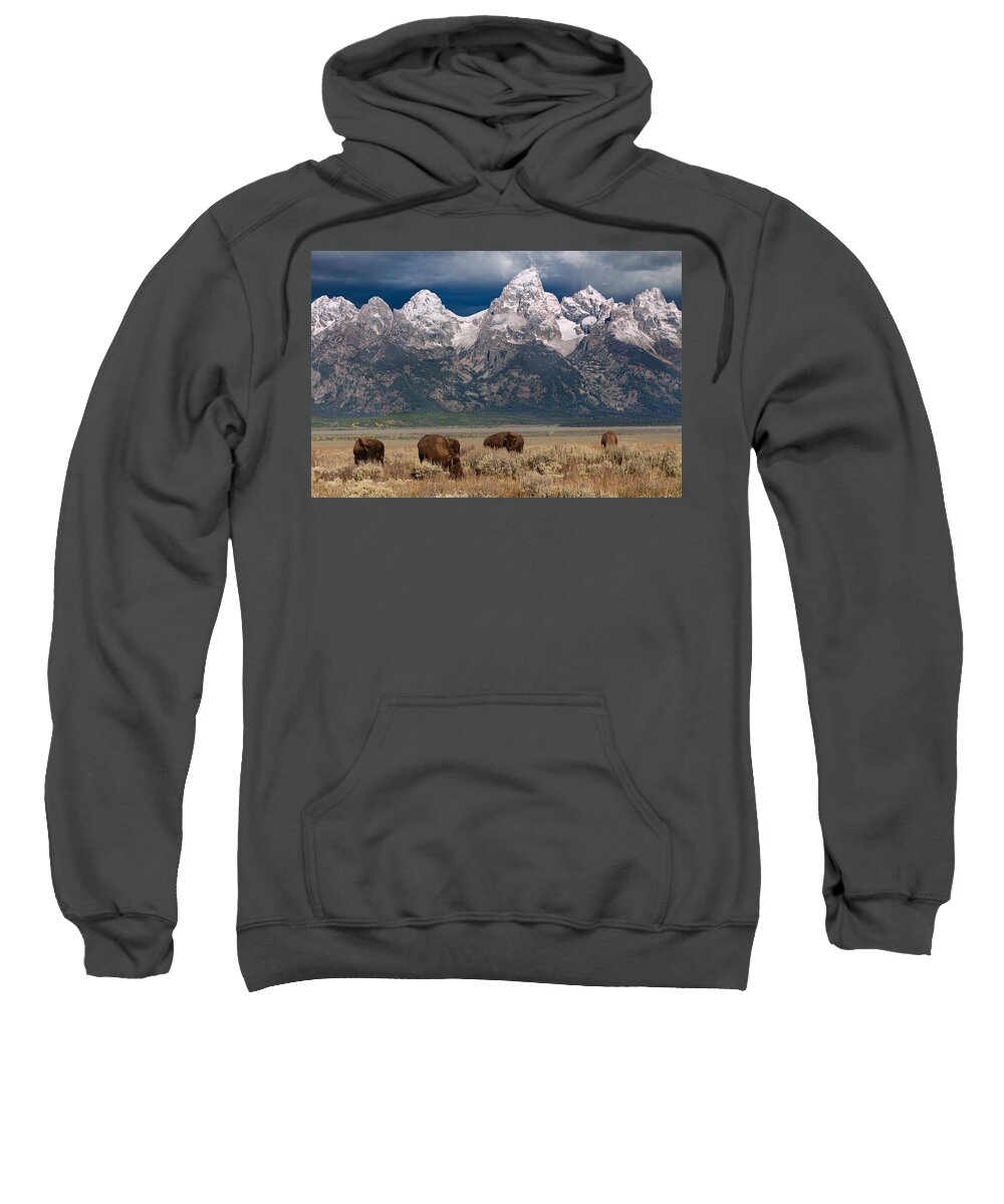 Bison Sweatshirt featuring the photograph Bison Grazing in Jackson Hole by Kathleen Bishop
